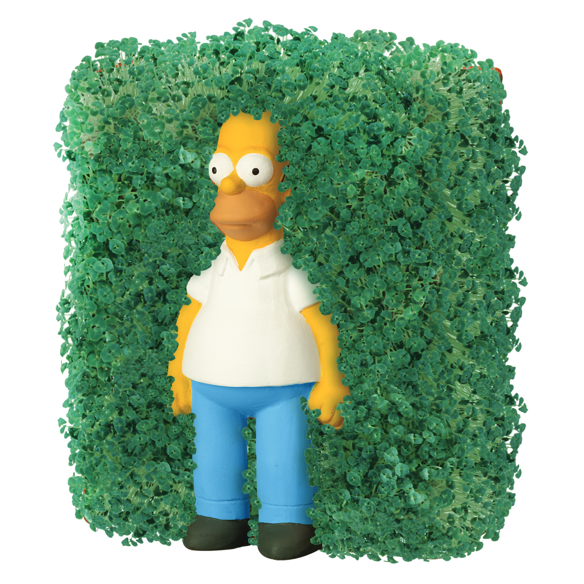 The Simpsons Homer Chia Pet® - Chia.com