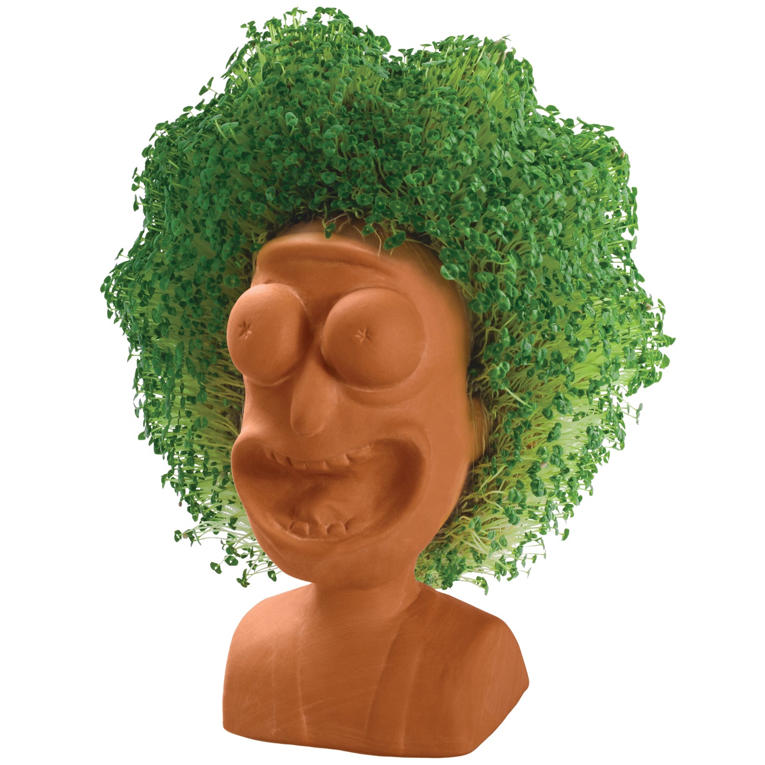 rick and morty plant pot Rick and Morty Chia Pet® Rick