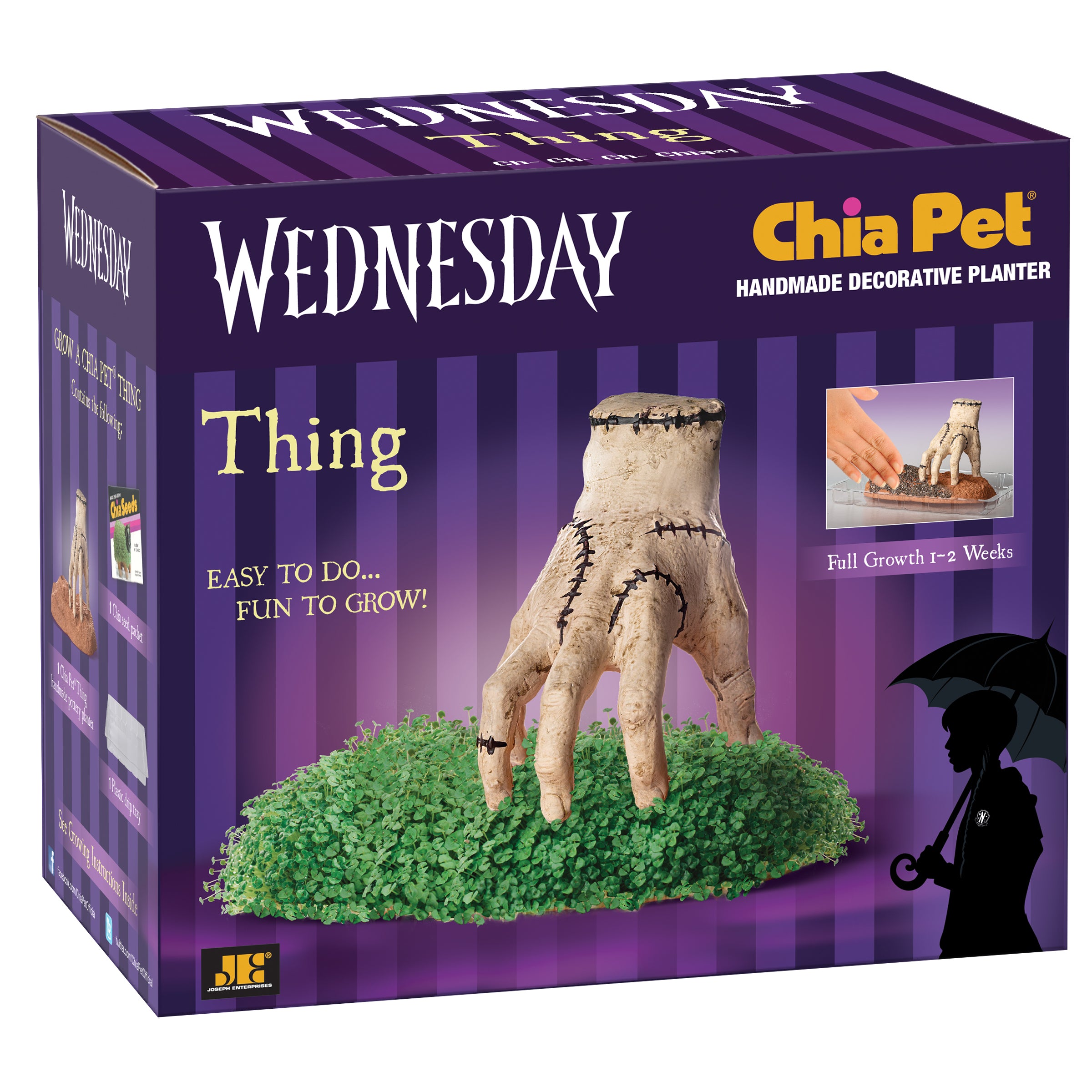 Addams Family Thing Chia Pet® - Chia.com