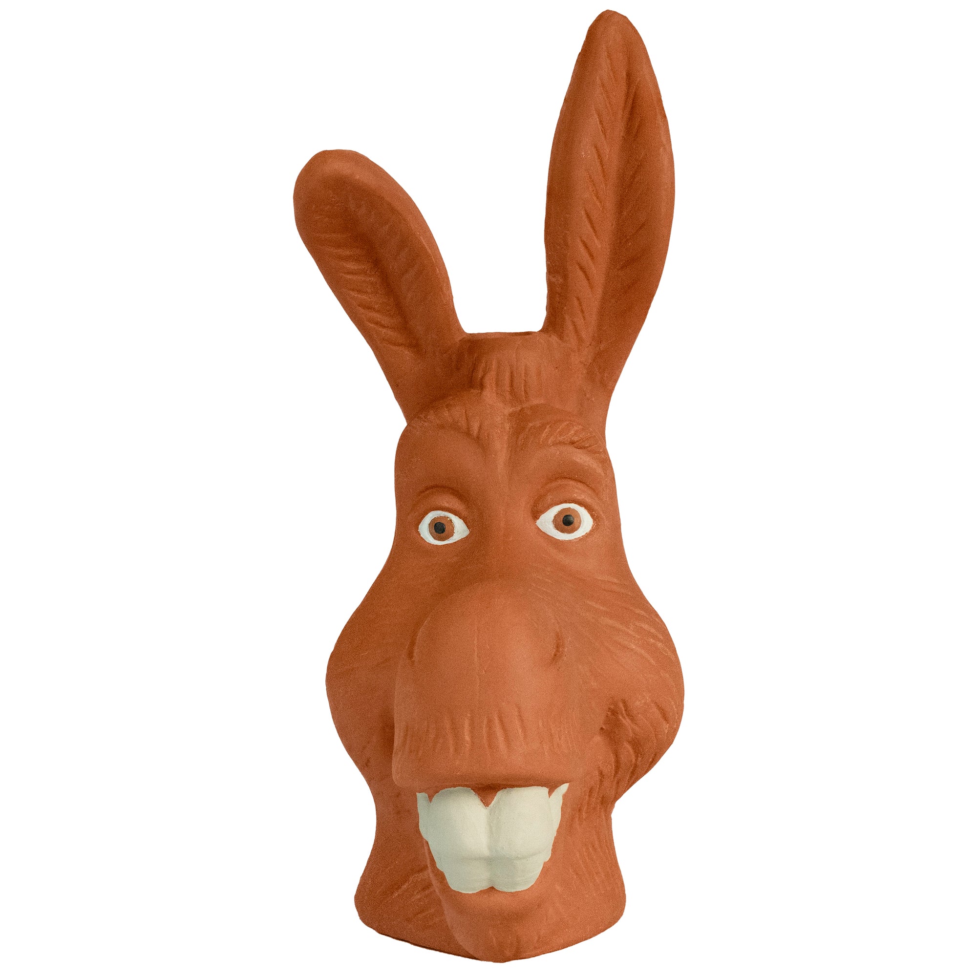 Shrek - Donkey Chia Pet®