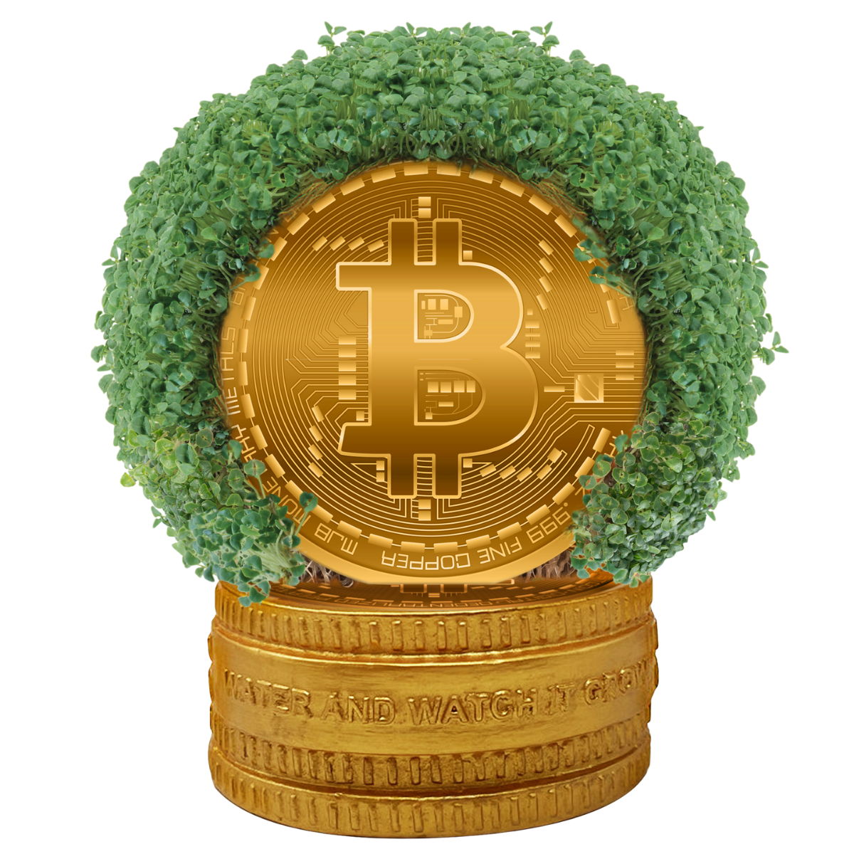 Bitcoin Chia Pet®