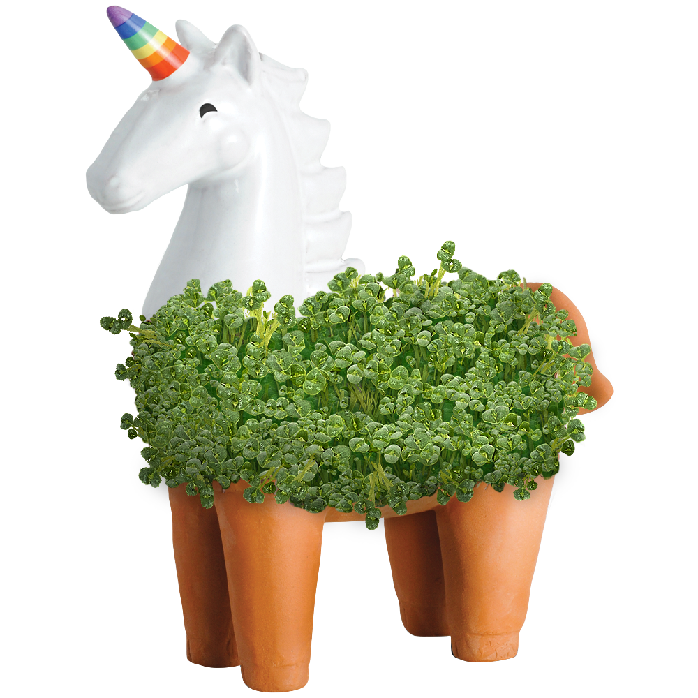 chia plant pot Unicorn Chia Pet®