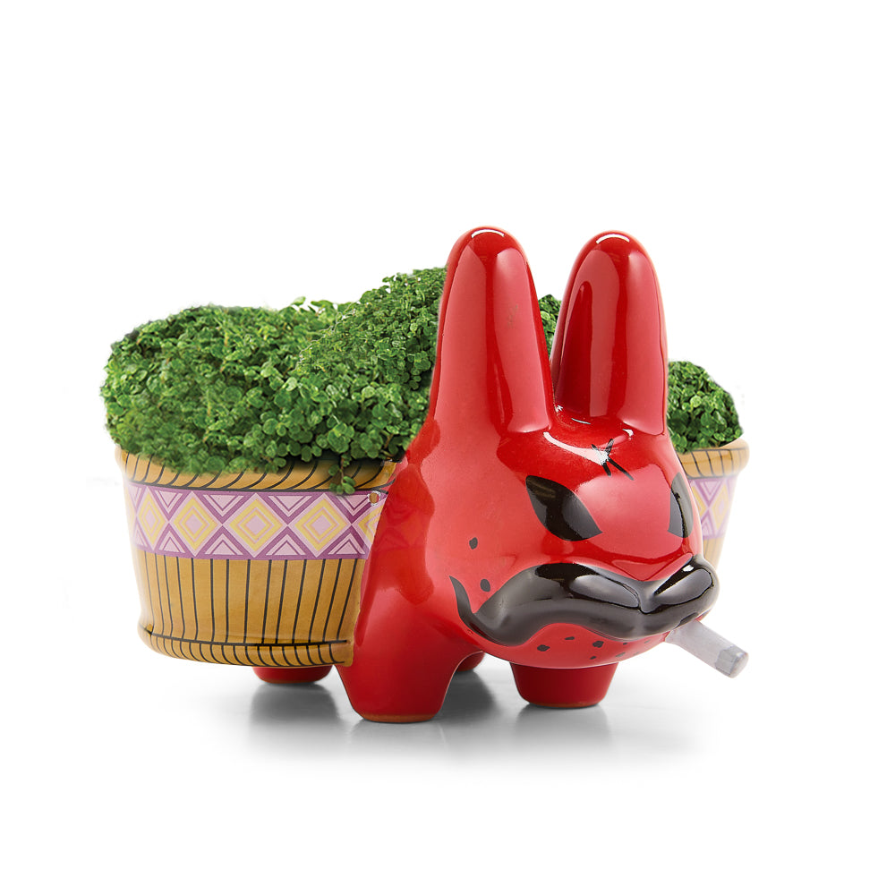 Chia Pet Smorkin’ Labbit - Smokin' Red Edition (Limited Edition of 1000)