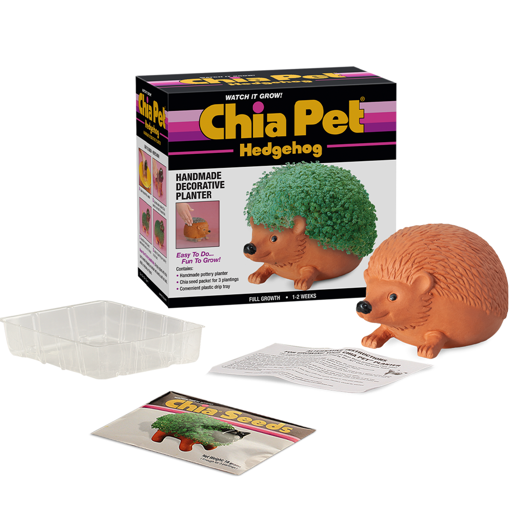 Classic Hedgehog Chia Pet® - Chia.com
