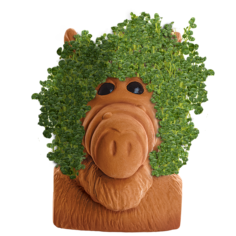 Alf® Chia Pet® - Chia.com