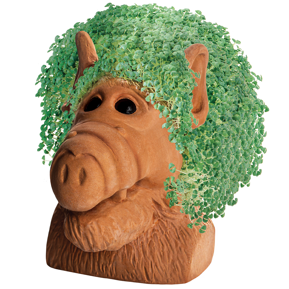 Alf® Chia Pet® - Chia.com