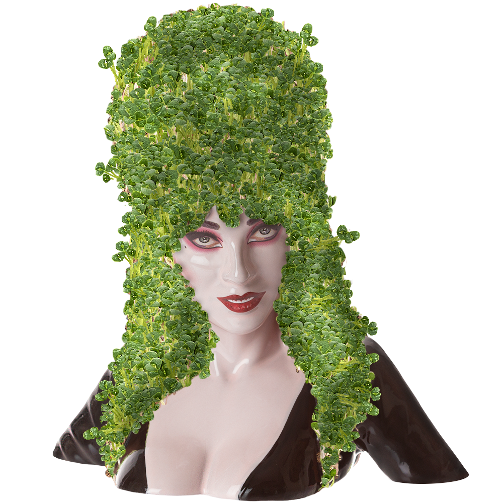 Elvira Mistress of the Dark™ Chia Pet® - Chia.com