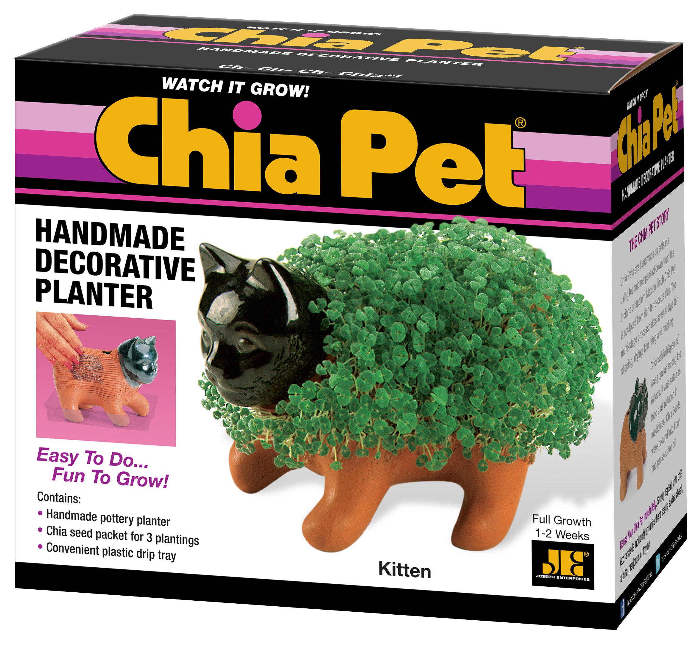 Classic Kitten Chia Pet® - Chia.com