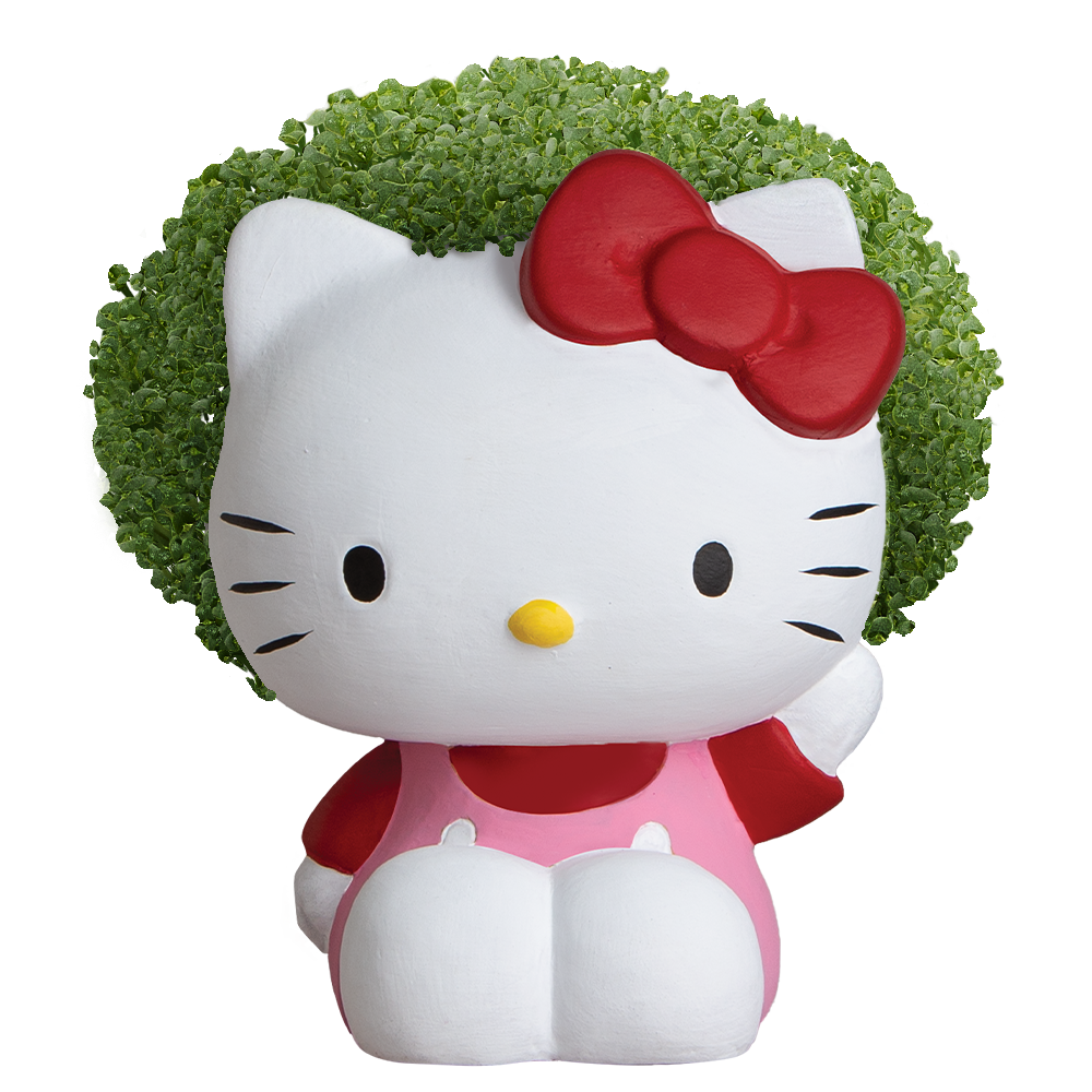 Hello Kitty® Chia Pet® - Chia.com