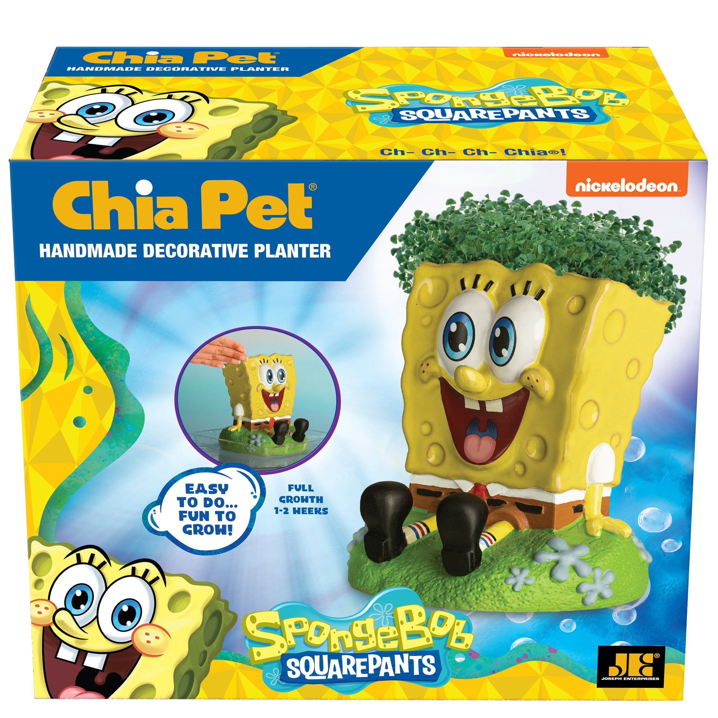 SpongeBob SquarePants Chia Pet® - Chia.com