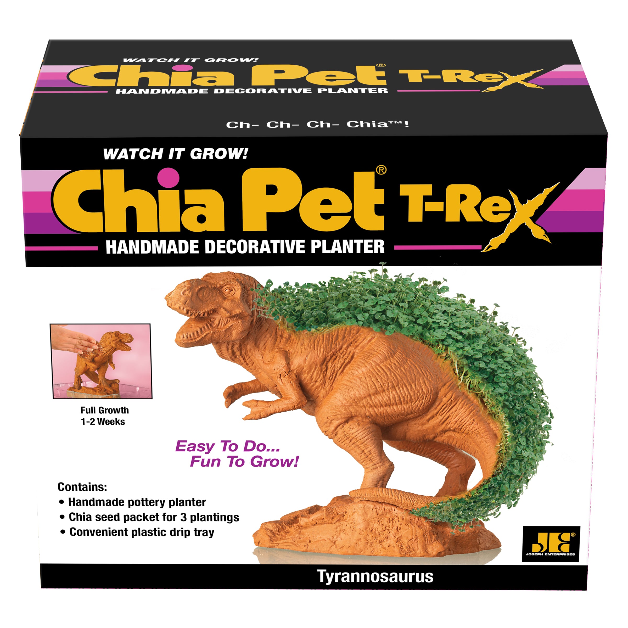 t rex succulent planter Chia Pet Dinosaur TRex Decorative Planter Terracotta Clay 1 pk