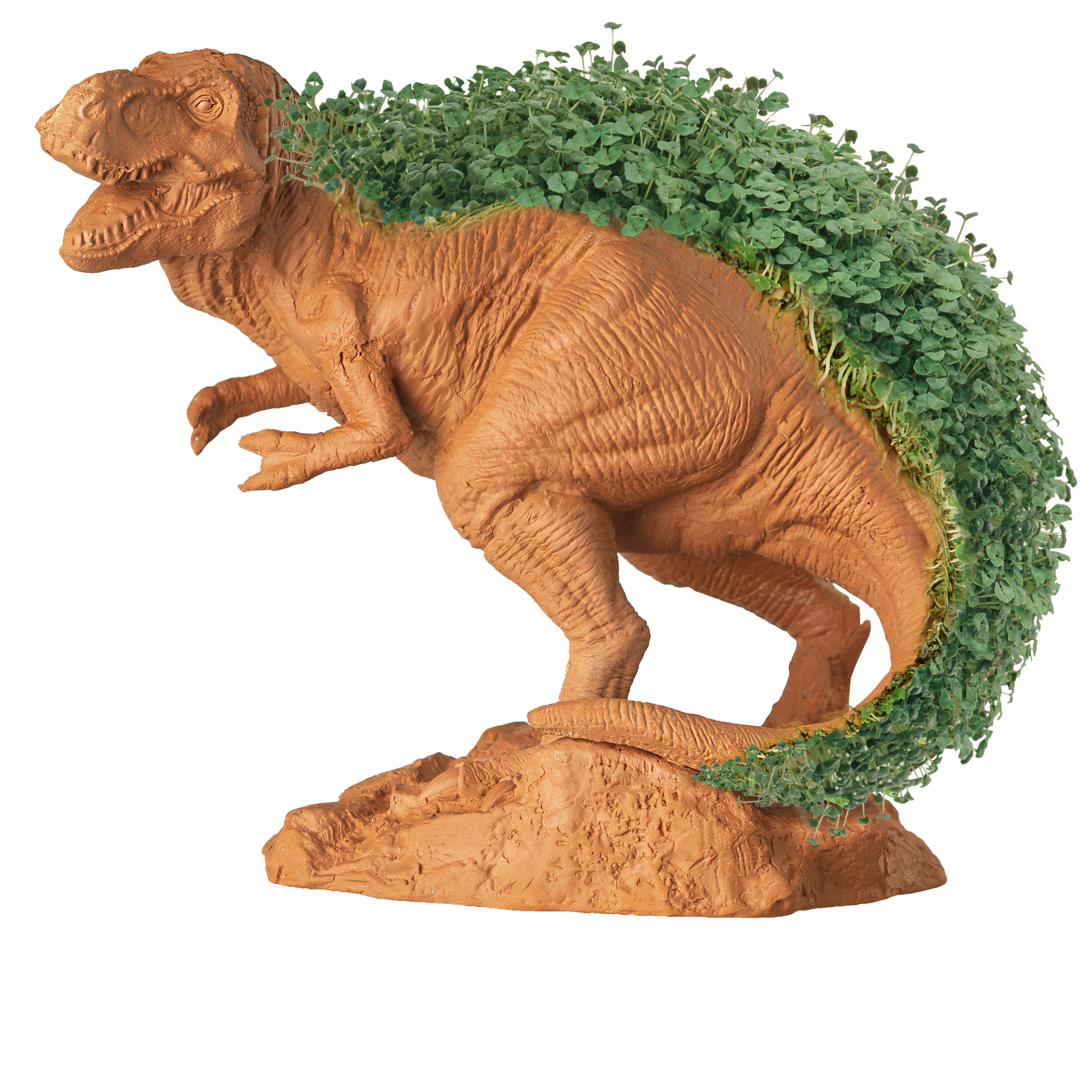 T-REX Chia Pet® - Chia.com