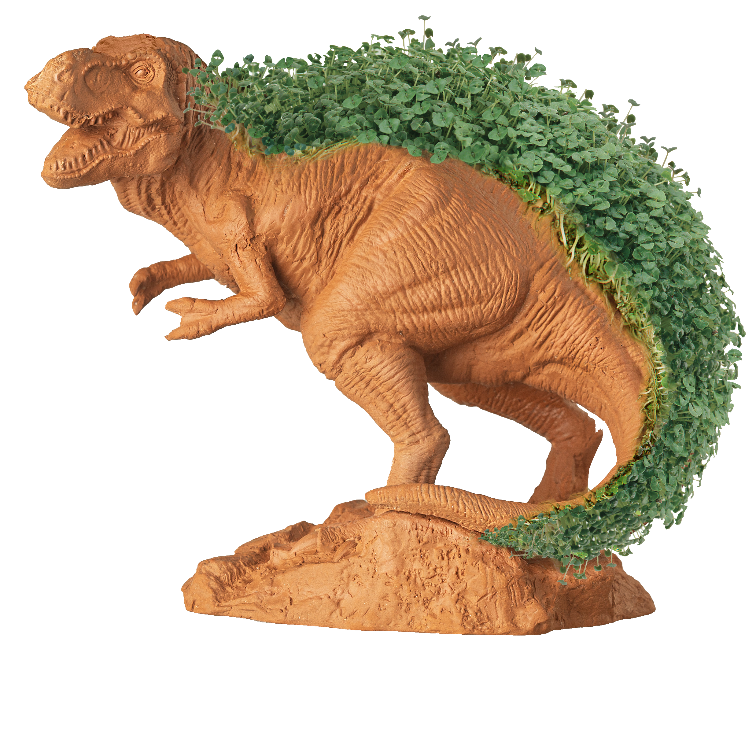 T-REX Chia Pet® - Chia.com