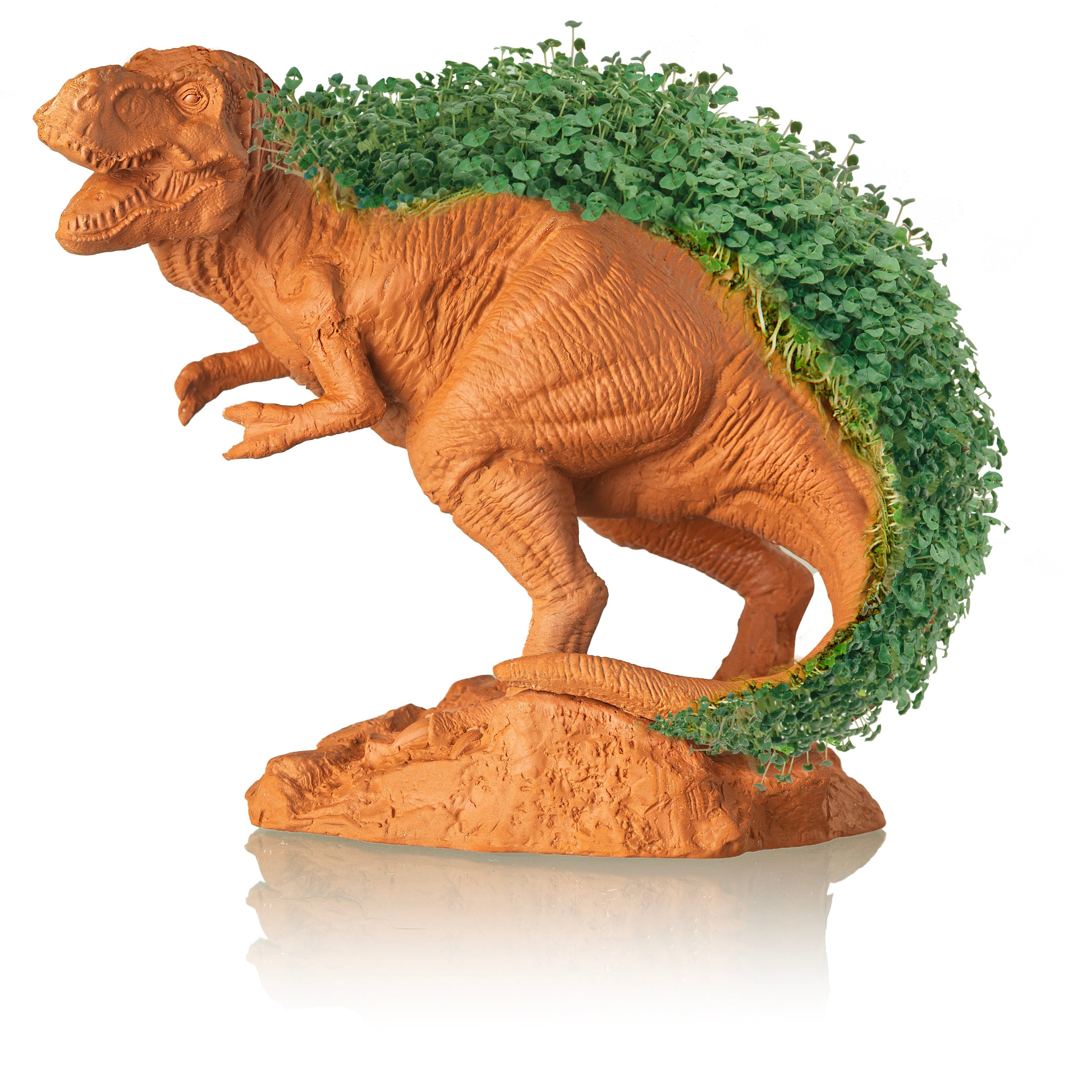 T-REX Chia Pet® - Chia.com