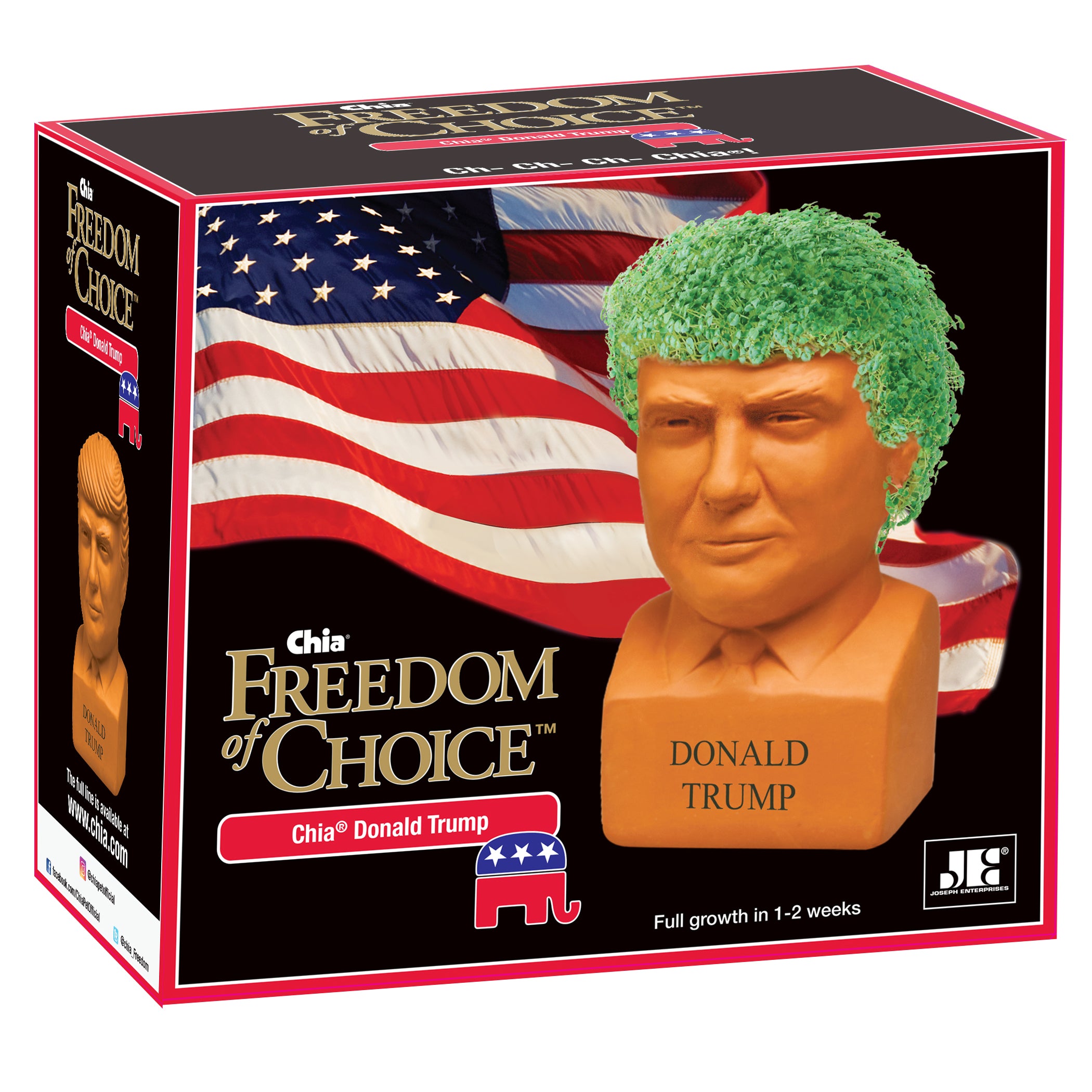 Donald Trump Chia Pet® - Chia.com