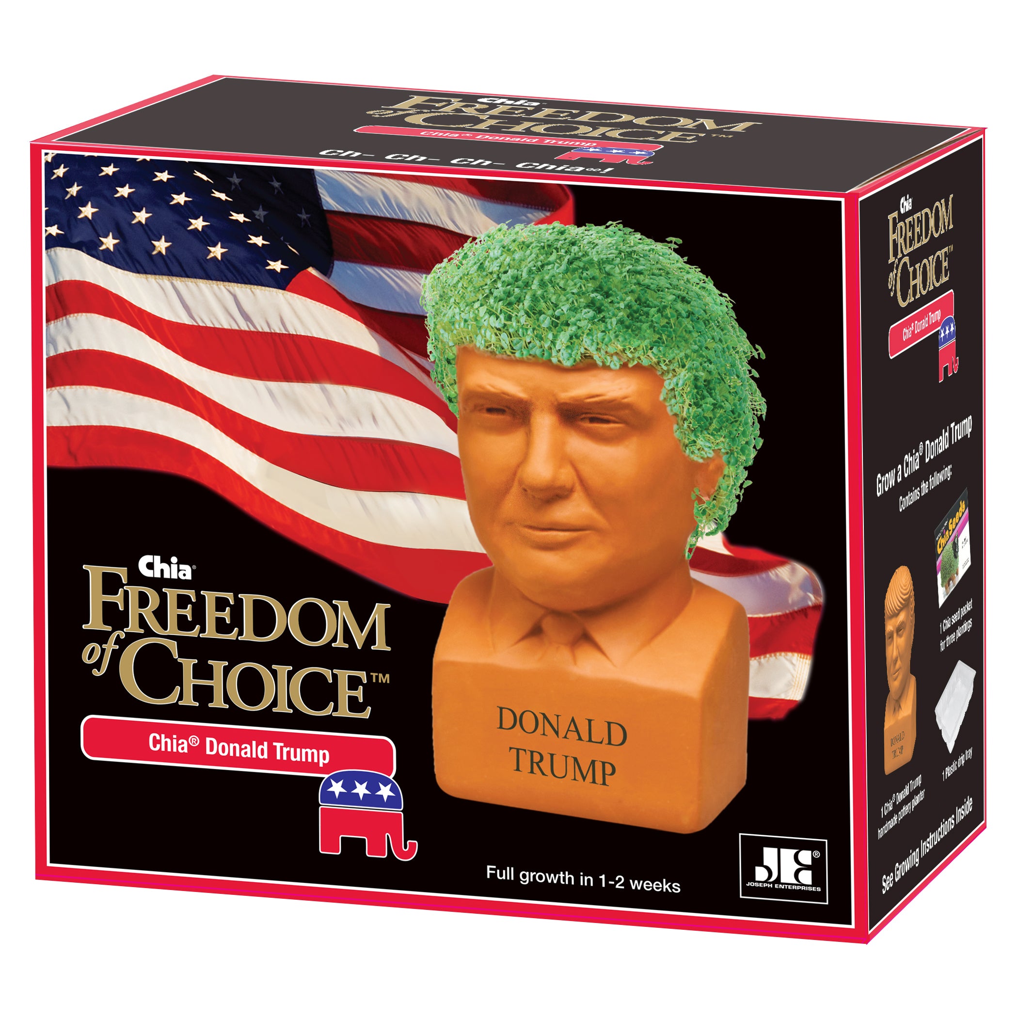 Donald Trump Chia Pet® - Chia.com