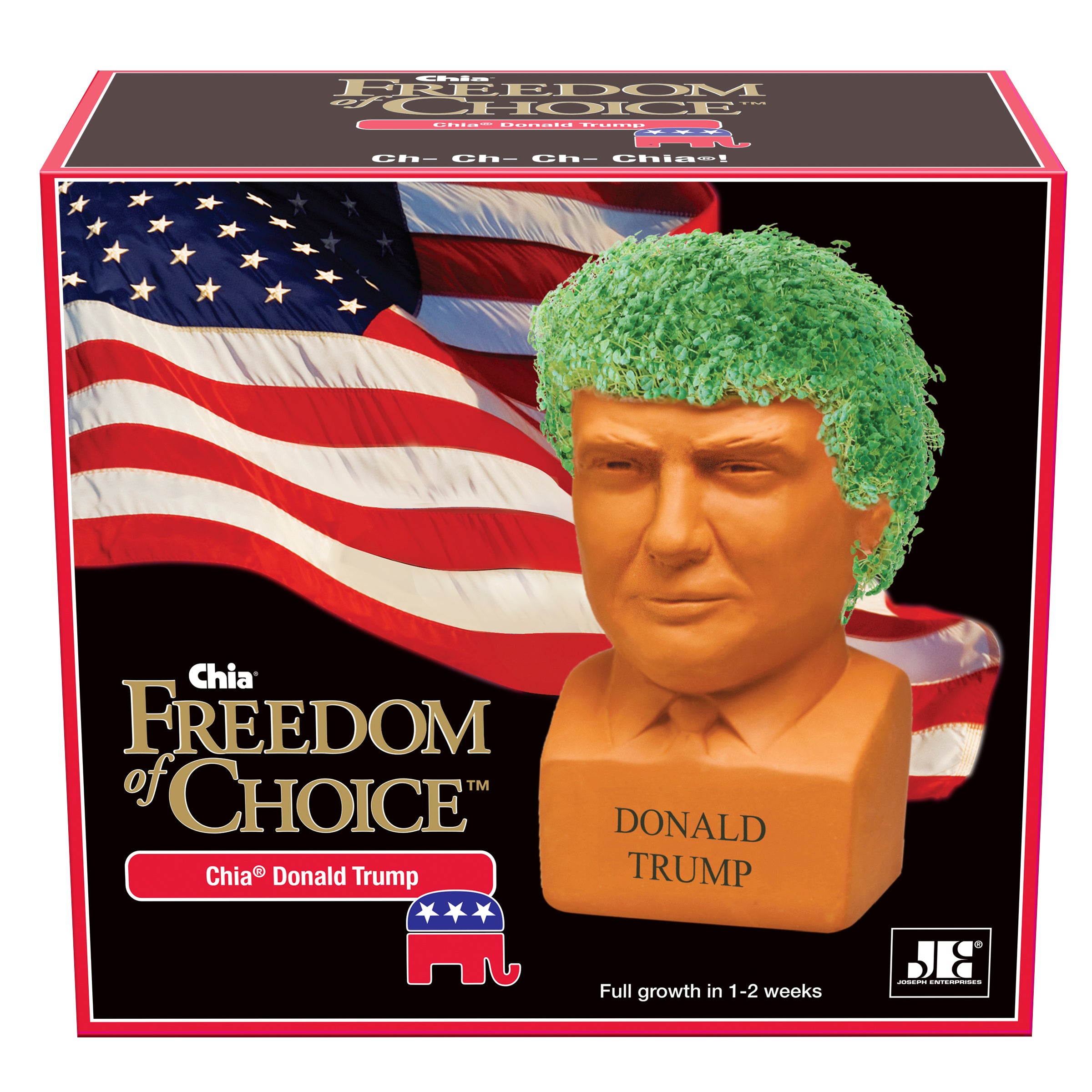 Donald Trump Chia Pet® - Chia.com