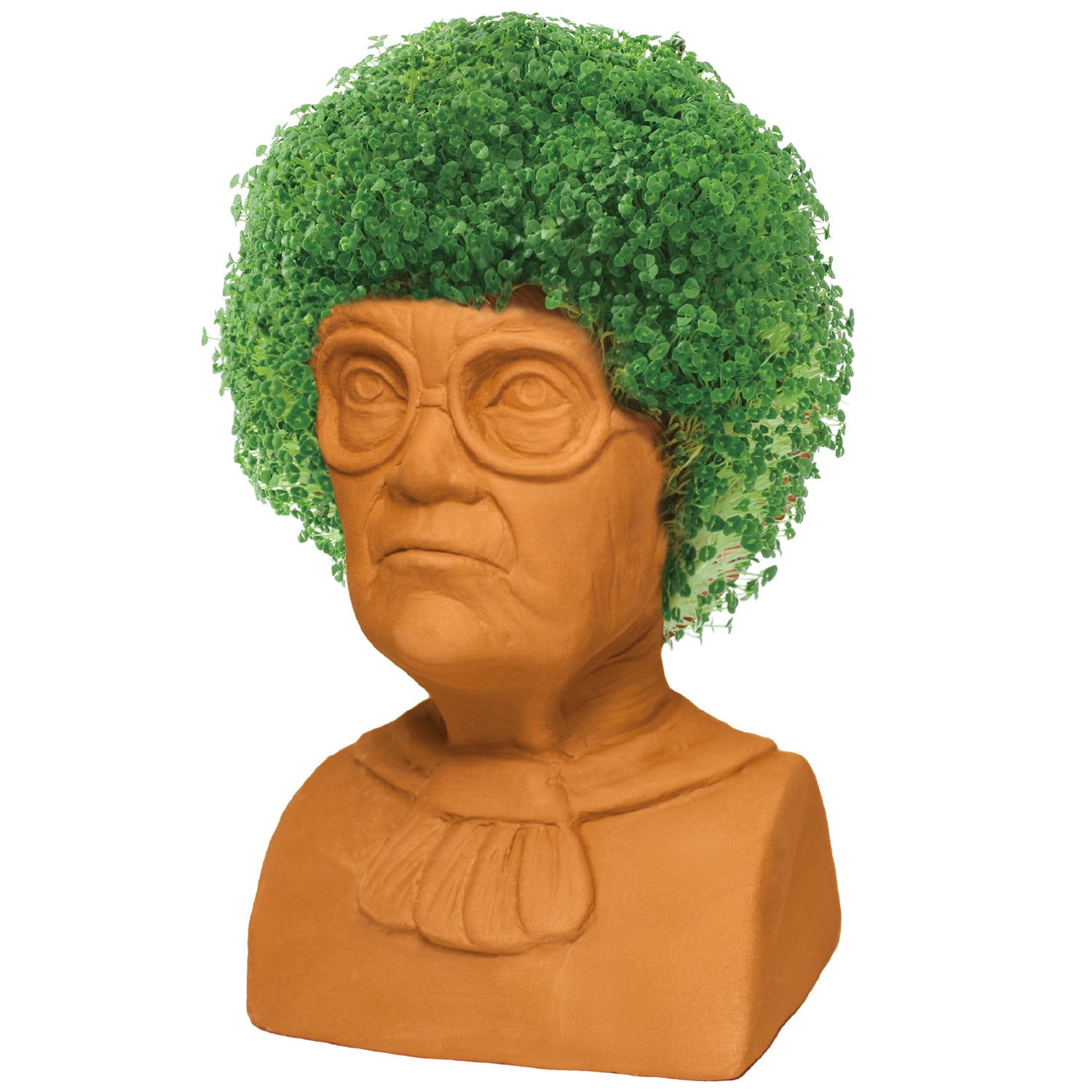 The Golden Girls Sophia Chia Pet® - Chia.com