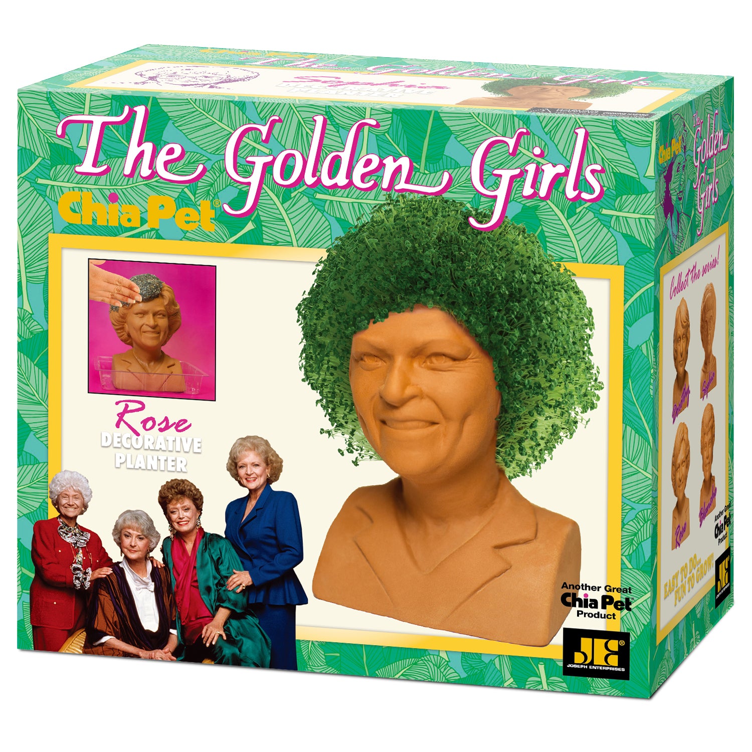 The Golden Girls Rose Chia Pet® - Chia.com