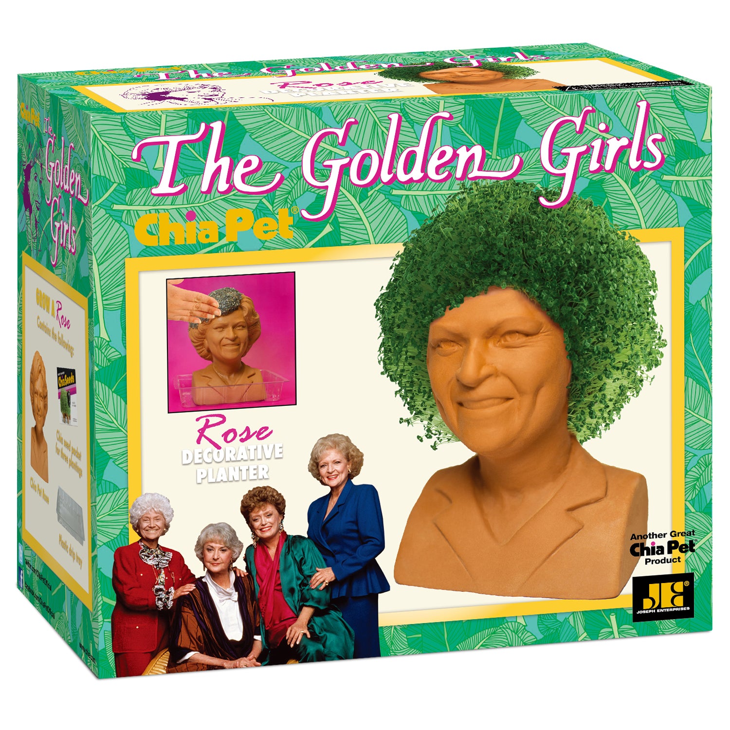 The Golden Girls Rose Chia Pet® - Chia.com