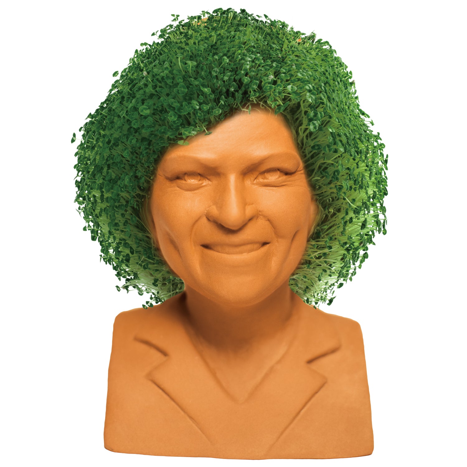 The Golden Girls Rose Chia Pet® - Chia.com