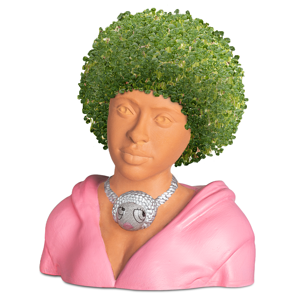 Ice Spice Chia Pet® - Chia.com