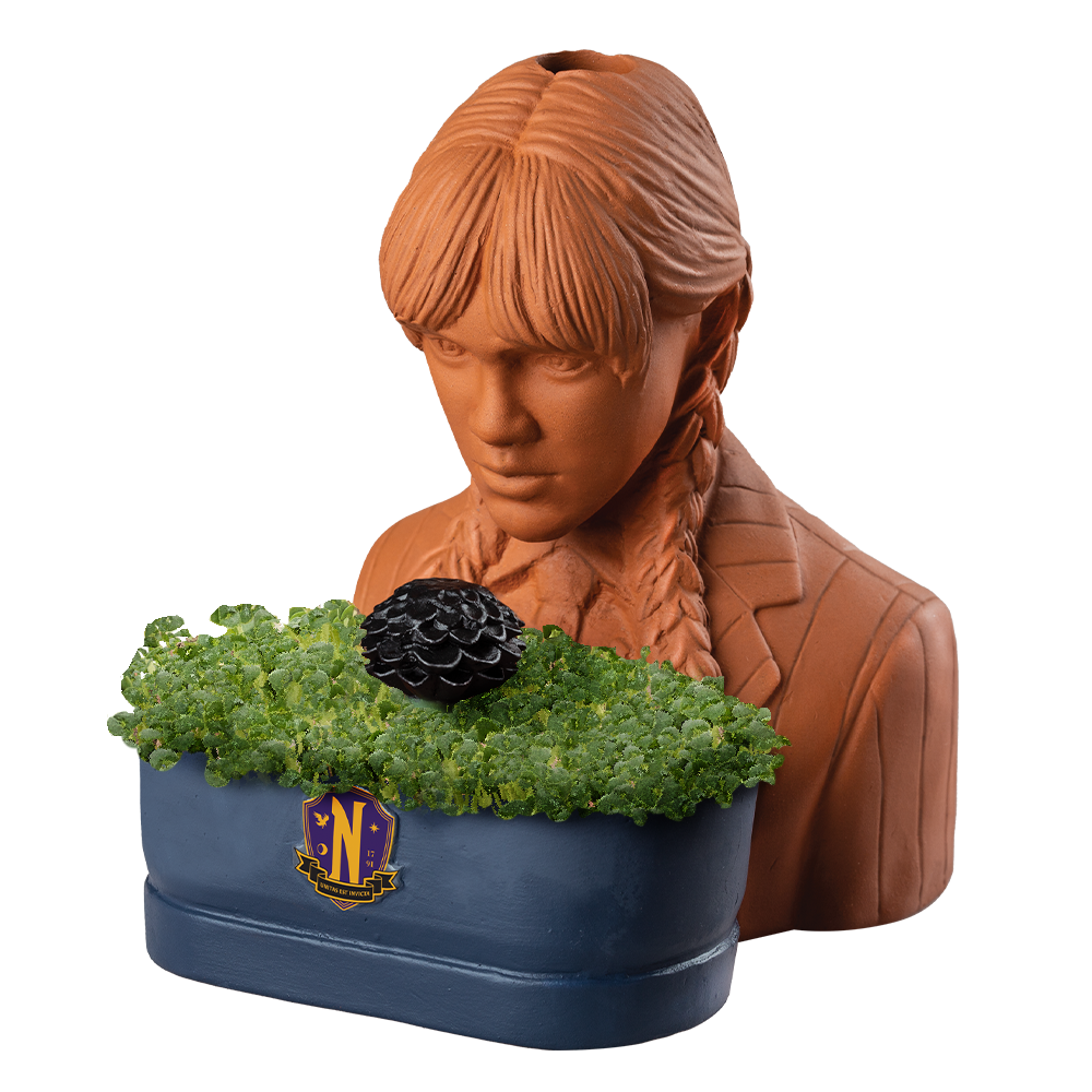 Addams Family Wednesday Chia Pet® - Chia.com