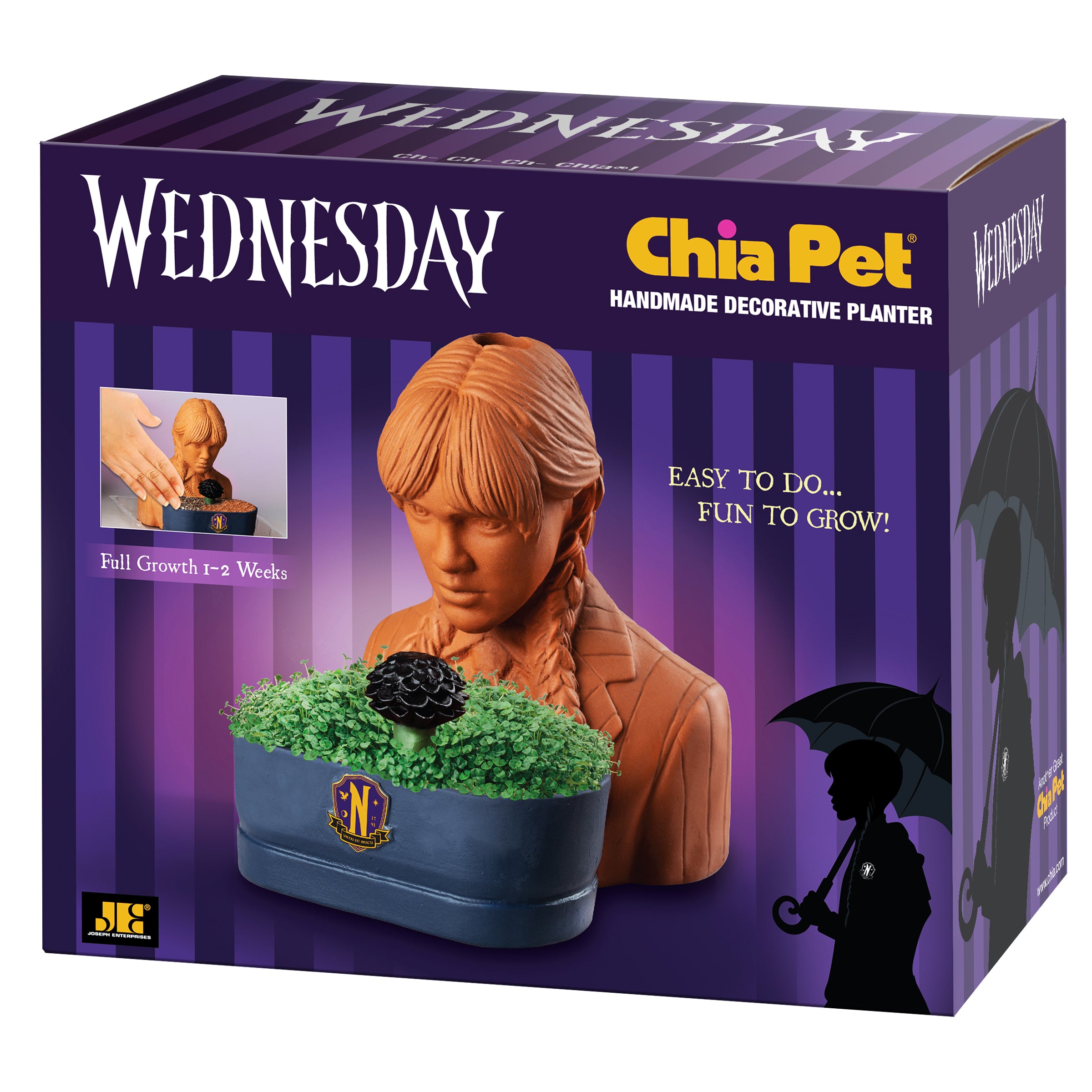 Addams Family Wednesday Chia Pet® - Chia.com