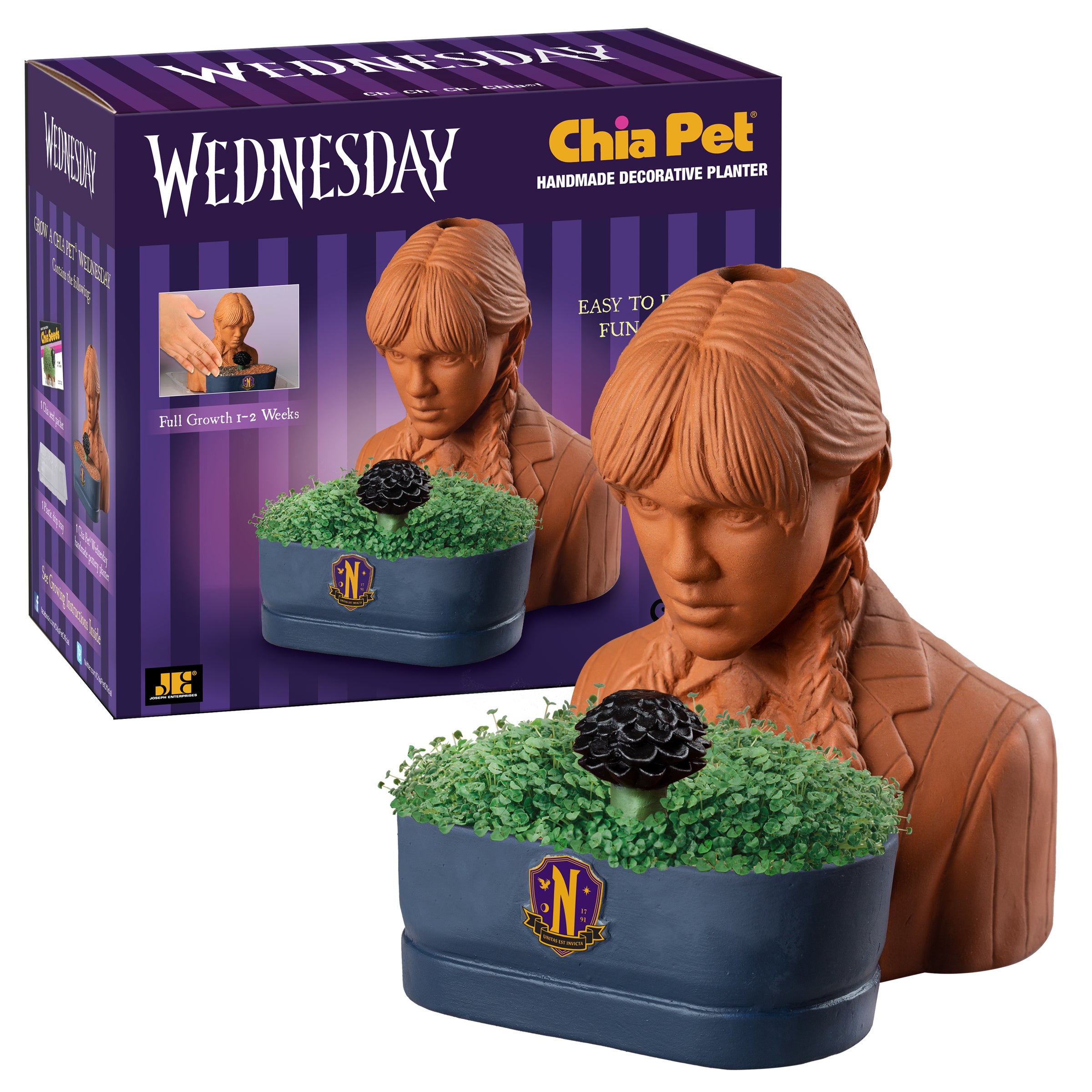 Addams Family Wednesday Chia Pet® - Chia.com