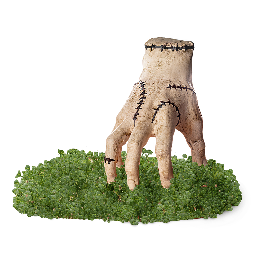 Addams Family Thing Chia Pet® - Chia.com