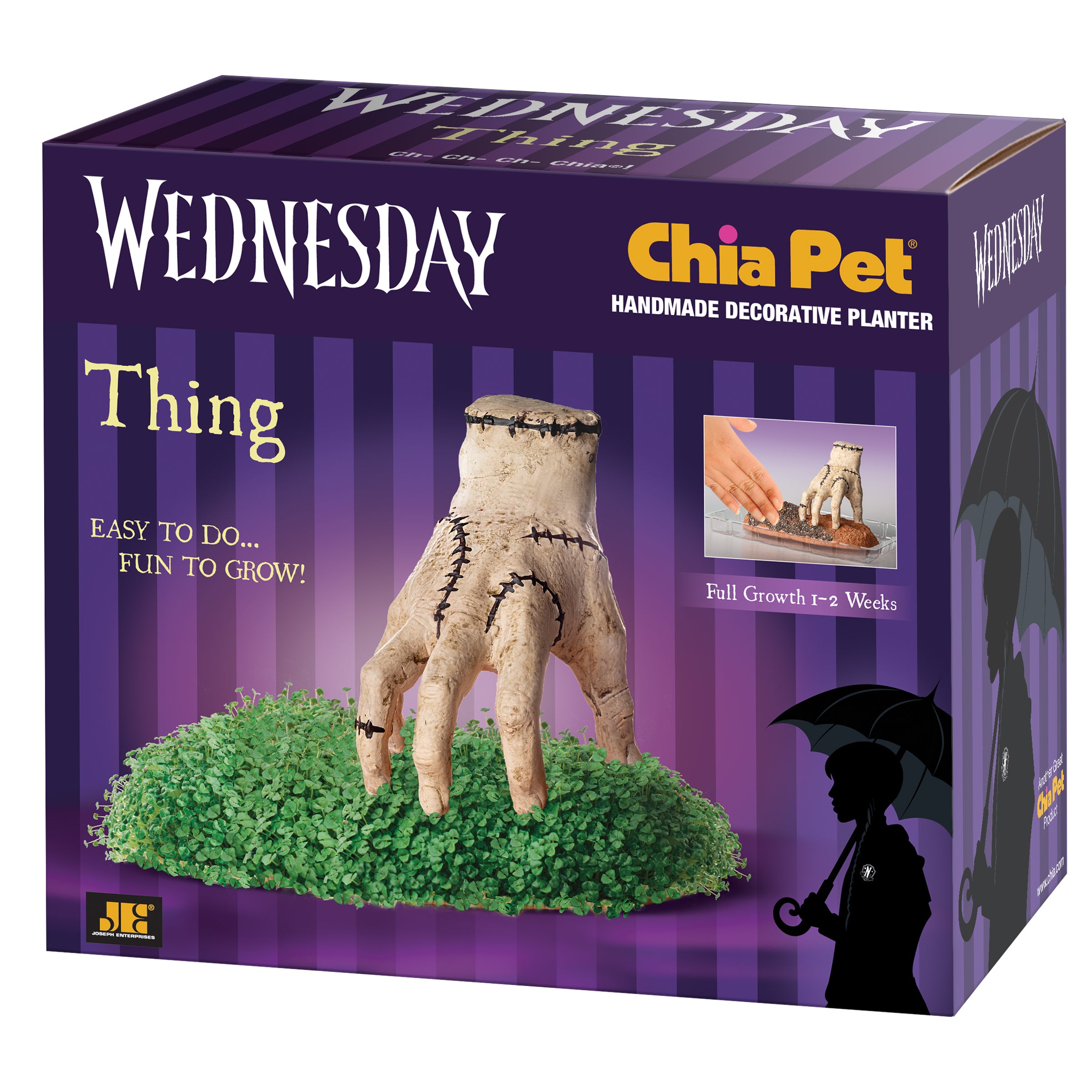 Addams Family Thing Chia Pet® - Chia.com