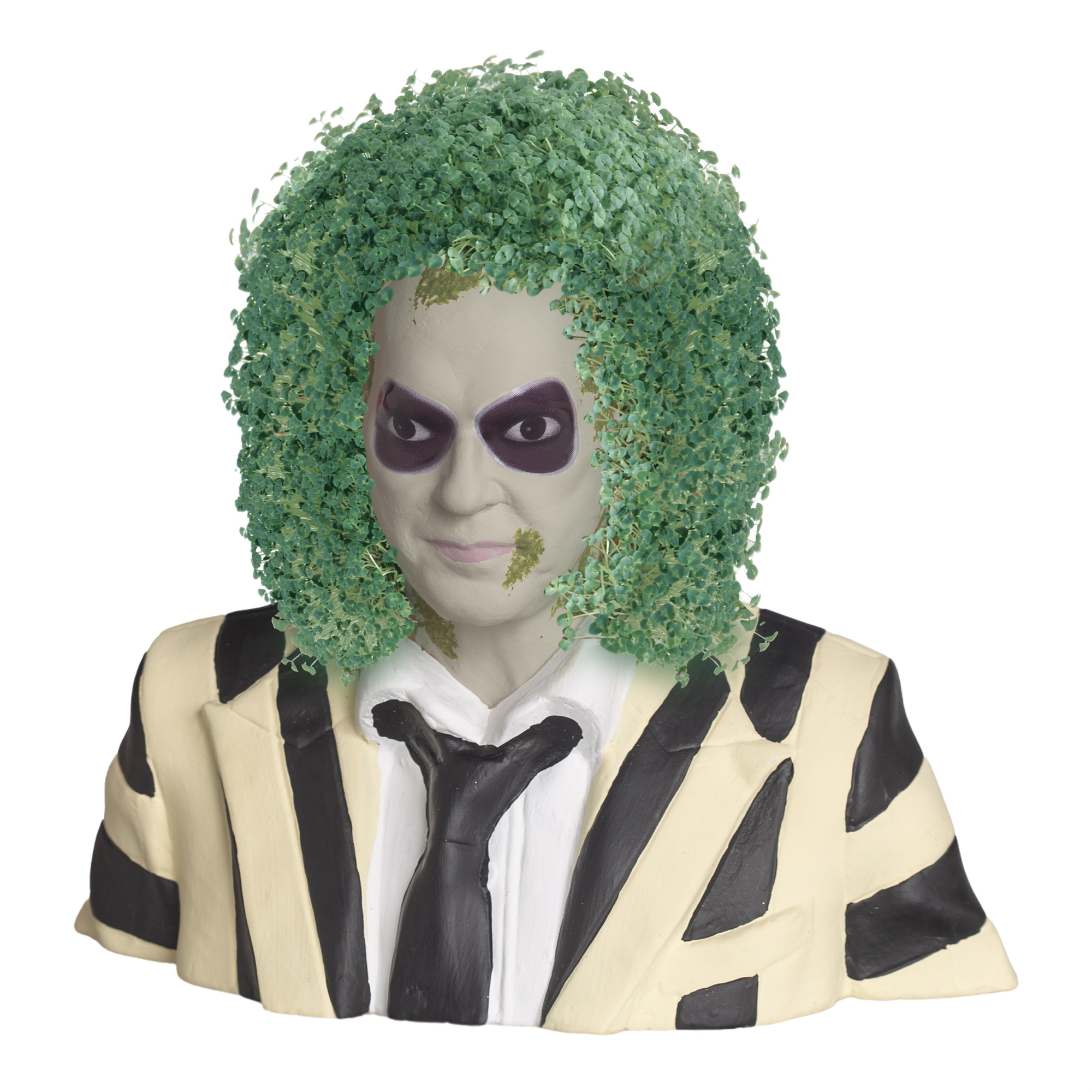 Beetlejuice Chia Pet® - Chia.com