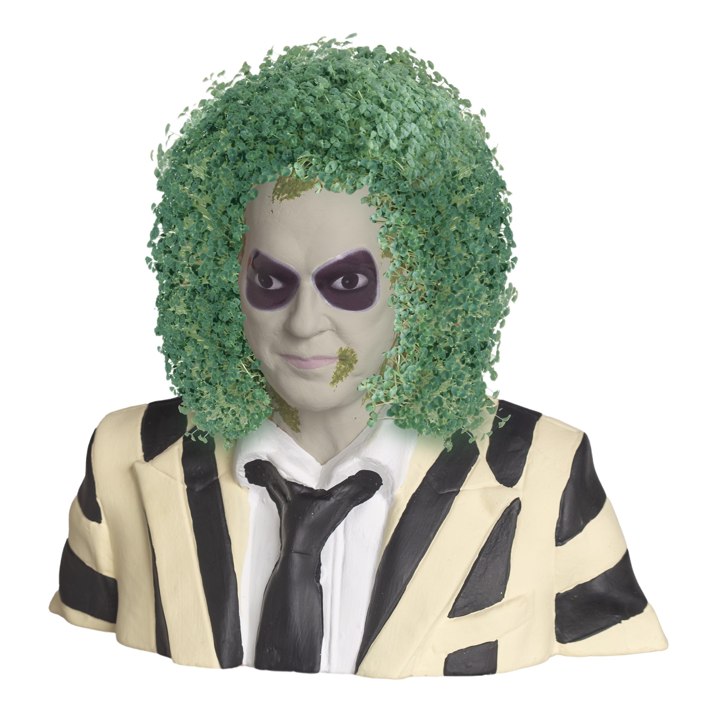 Beetlejuice Chia Pet® - Chia.com