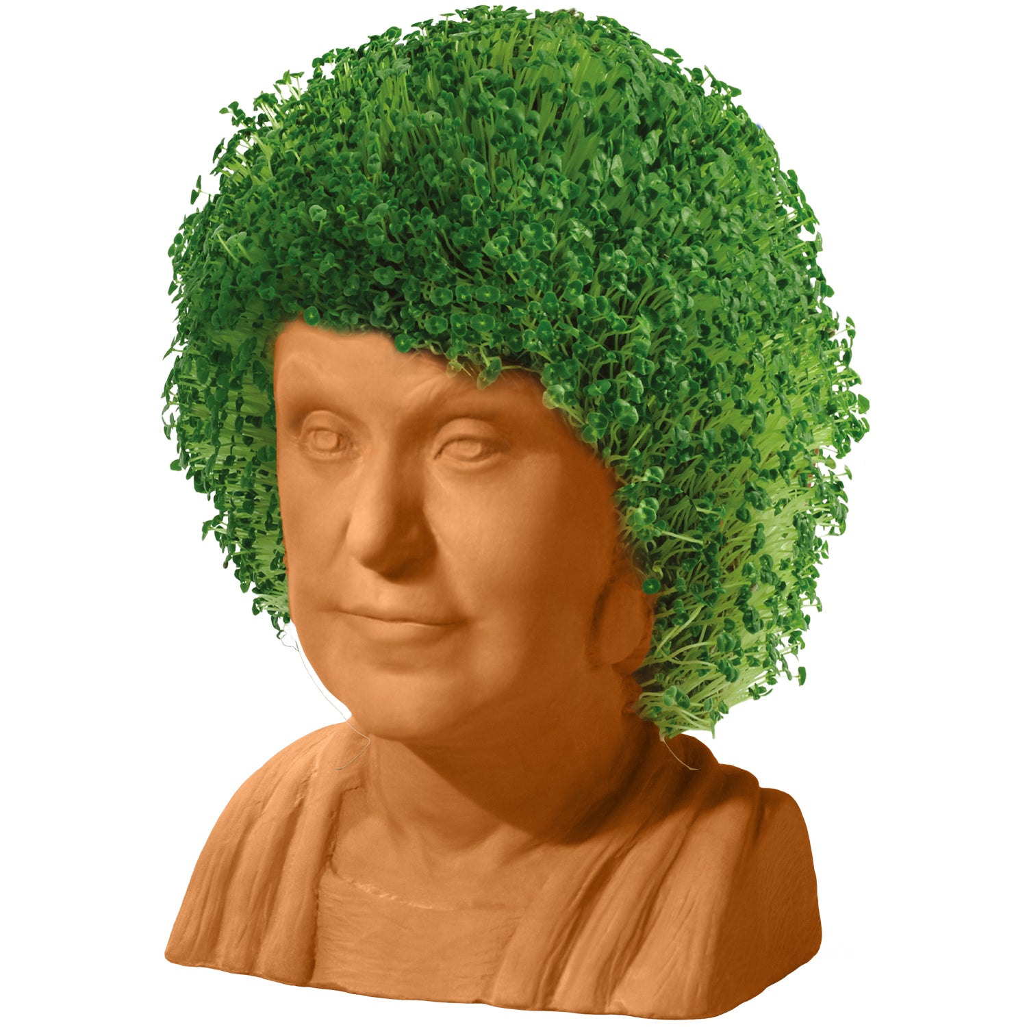 The Golden Girls Dorothy Chia Pet® - Chia.com