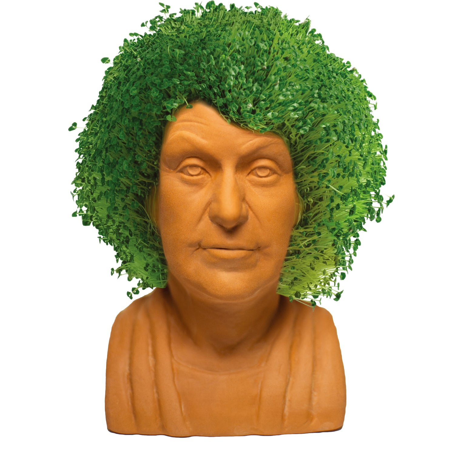 The Golden Girls Dorothy Chia Pet® - Chia.com