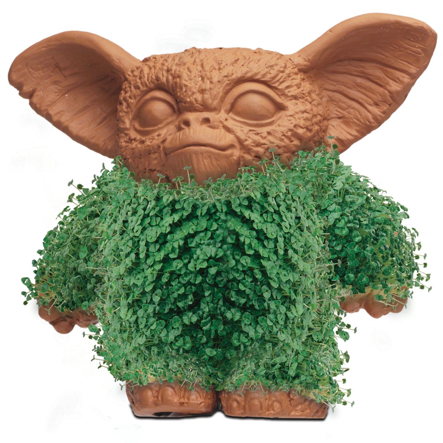 Gremlins™ Gizmo Chia Pet® - Chia.com