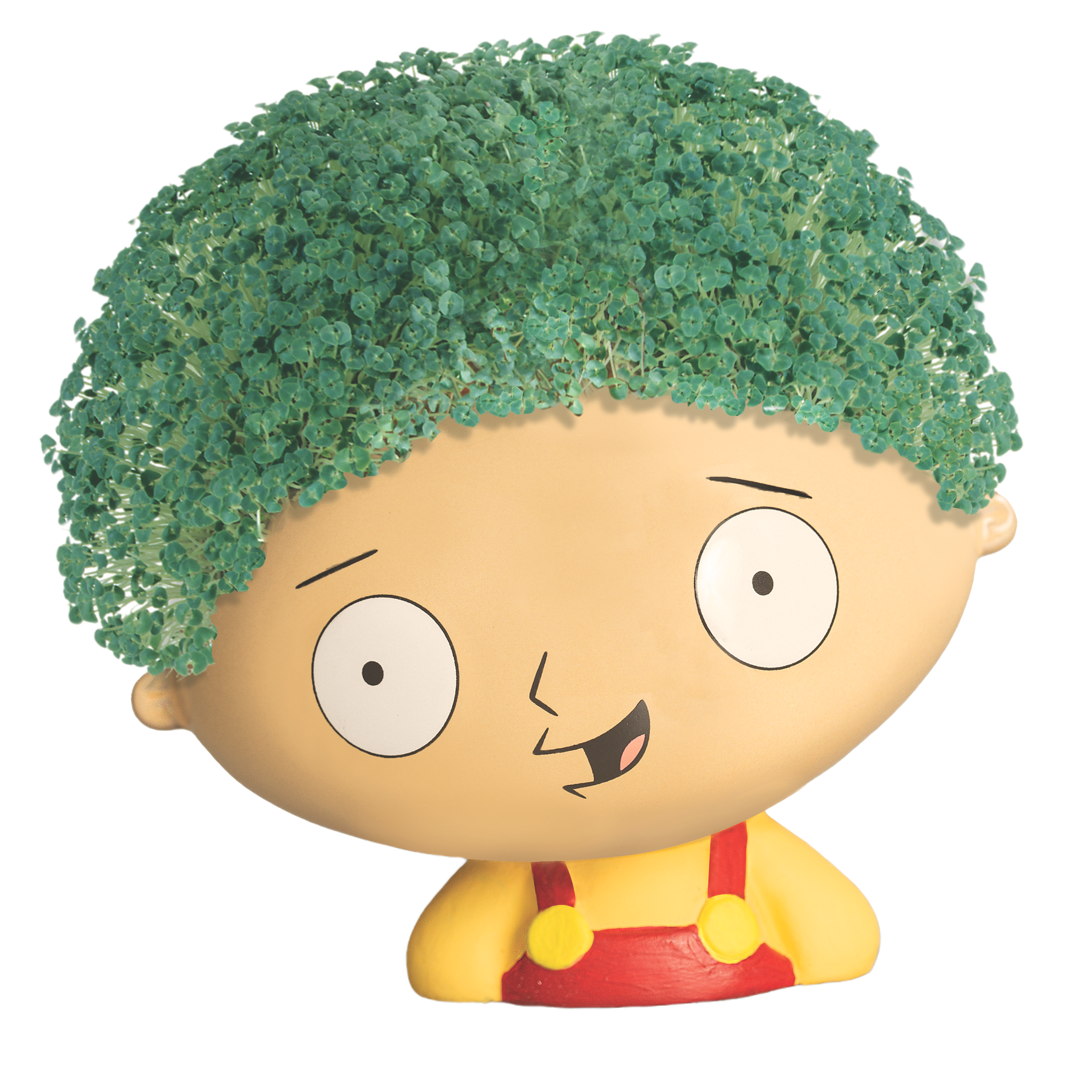 Family Guy Stewie Chia Pet® - Chia.com