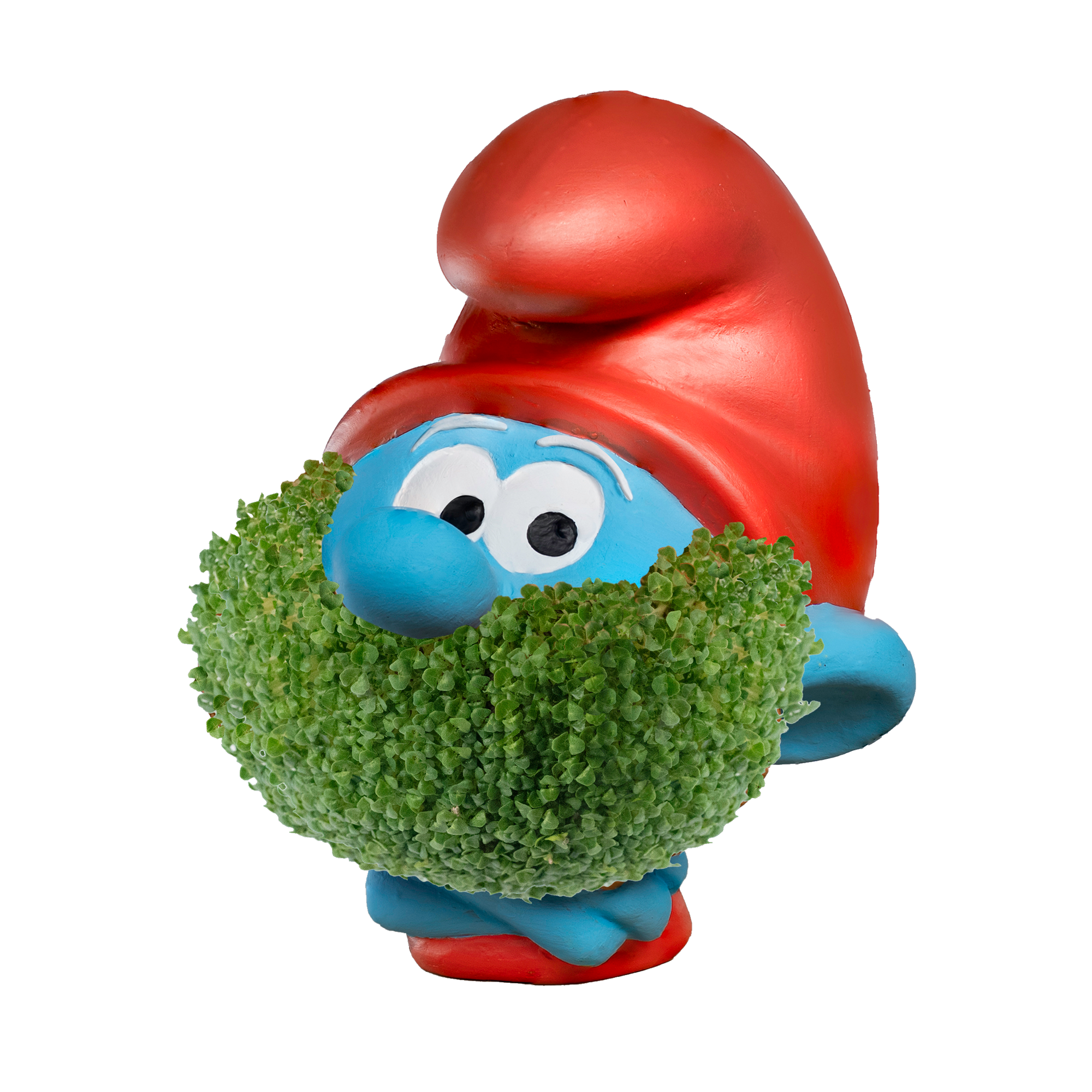 Papa Smurf Chia Pet®
