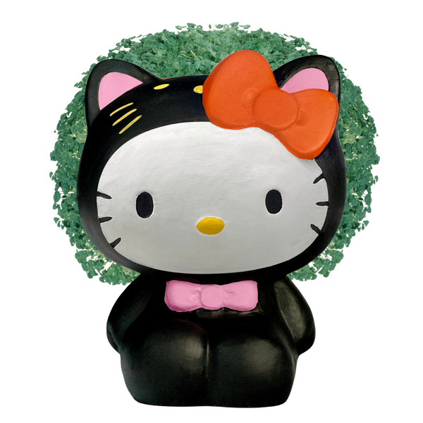 JE01083_Hello_Kitty_in_Kitten_