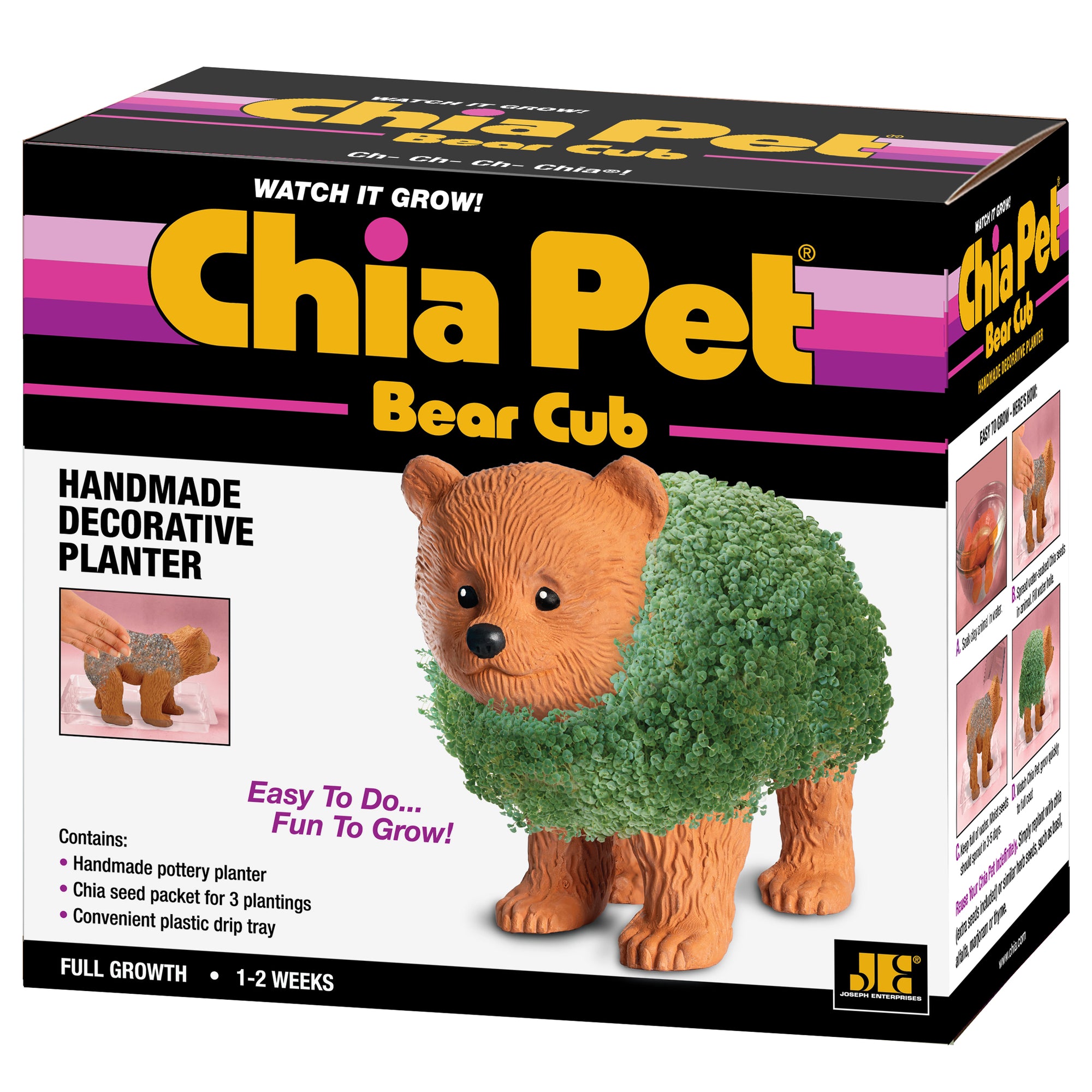 Bear Cub Chia Pet®