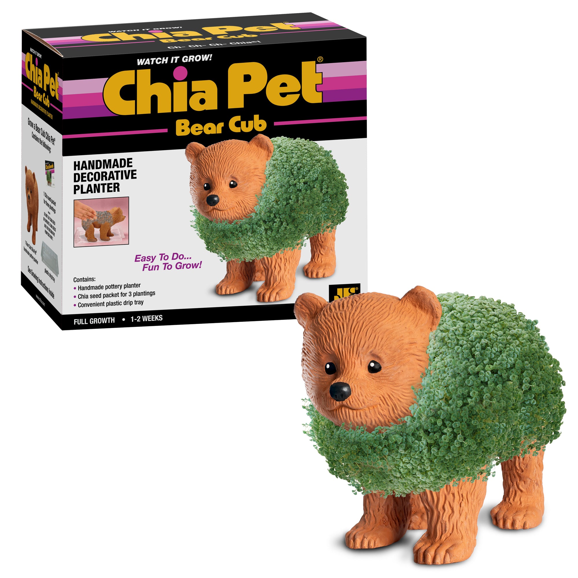 Bear Cub Chia Pet®