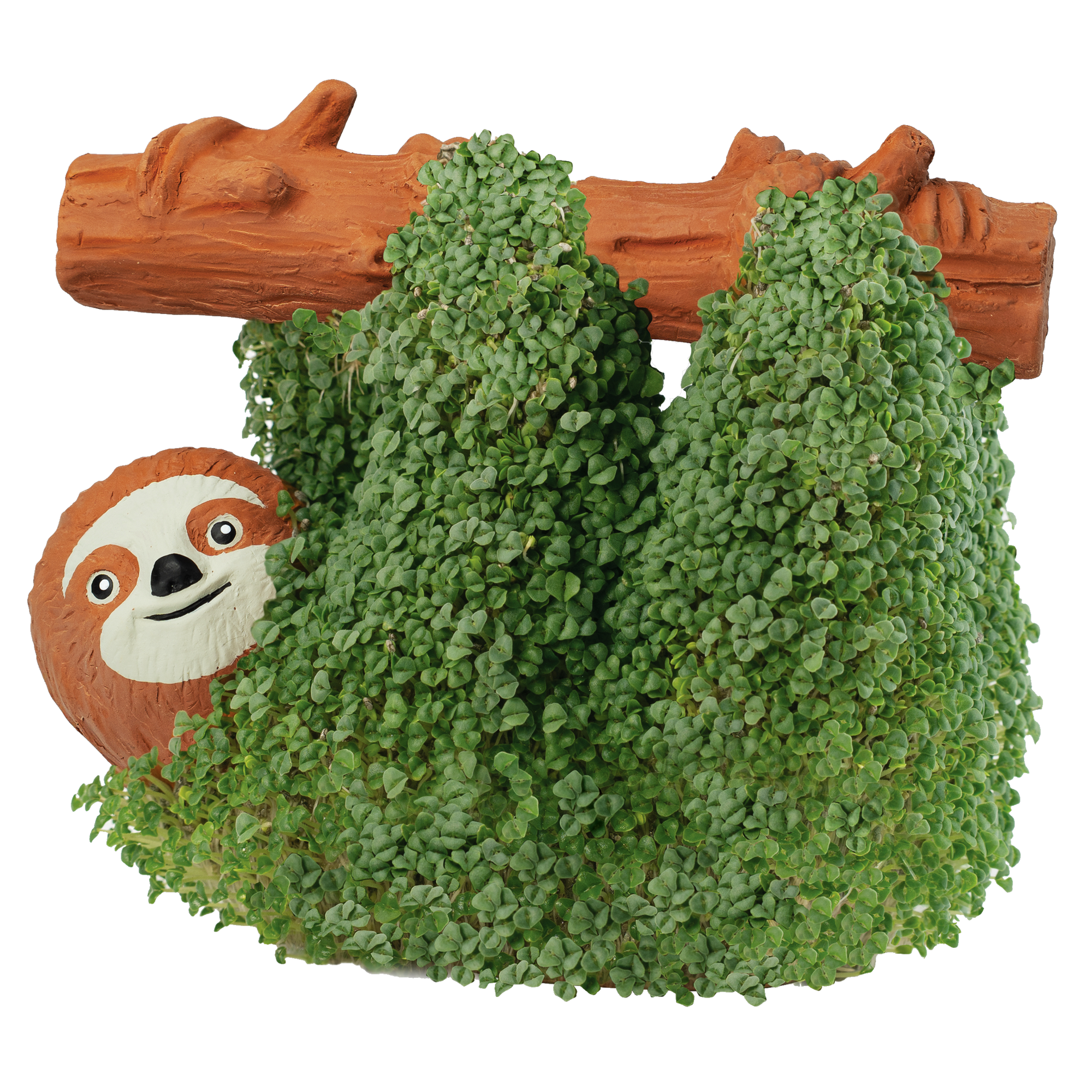 Sloth Chia Pet® - Chia.com