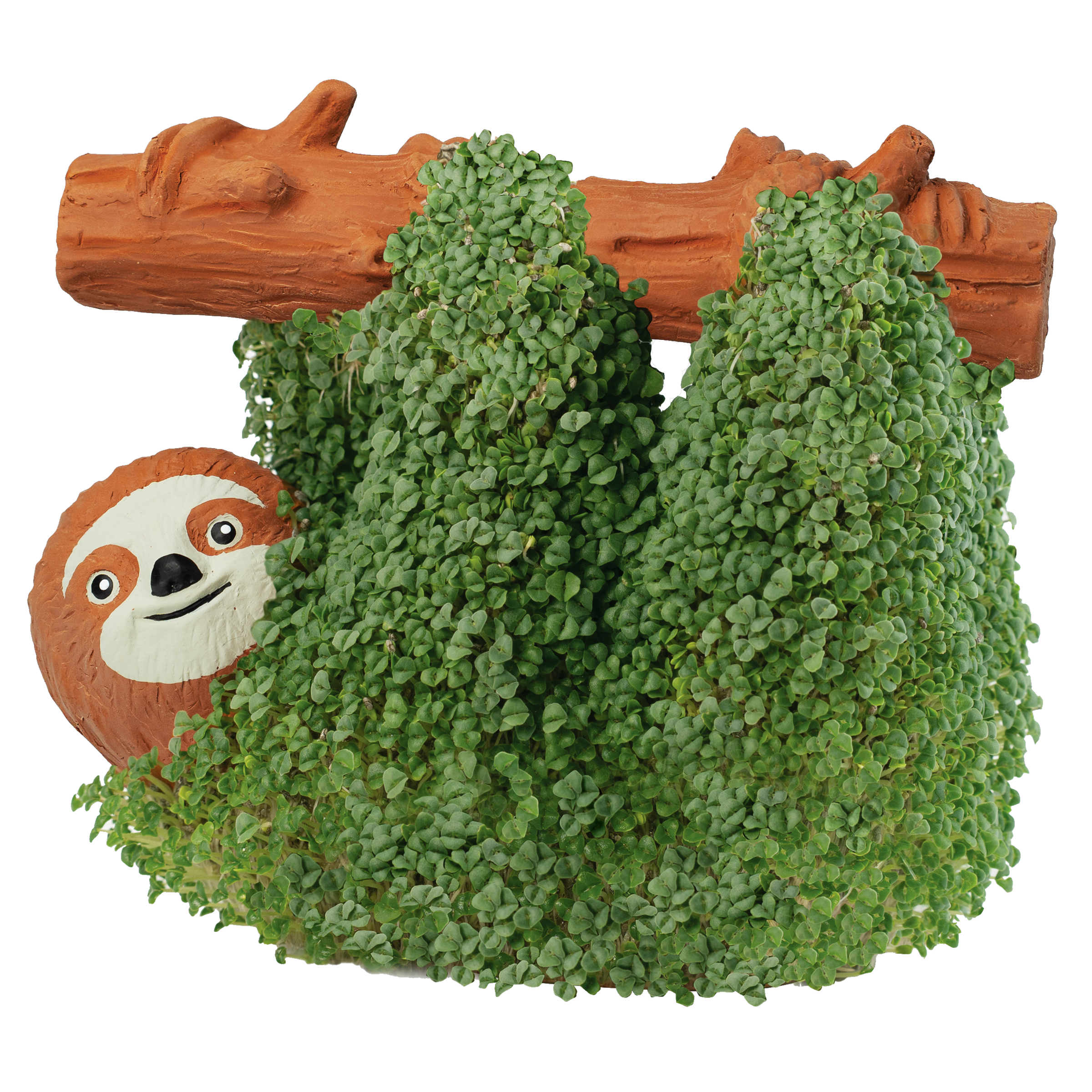 Sloth Chia Pet® - Chia.com