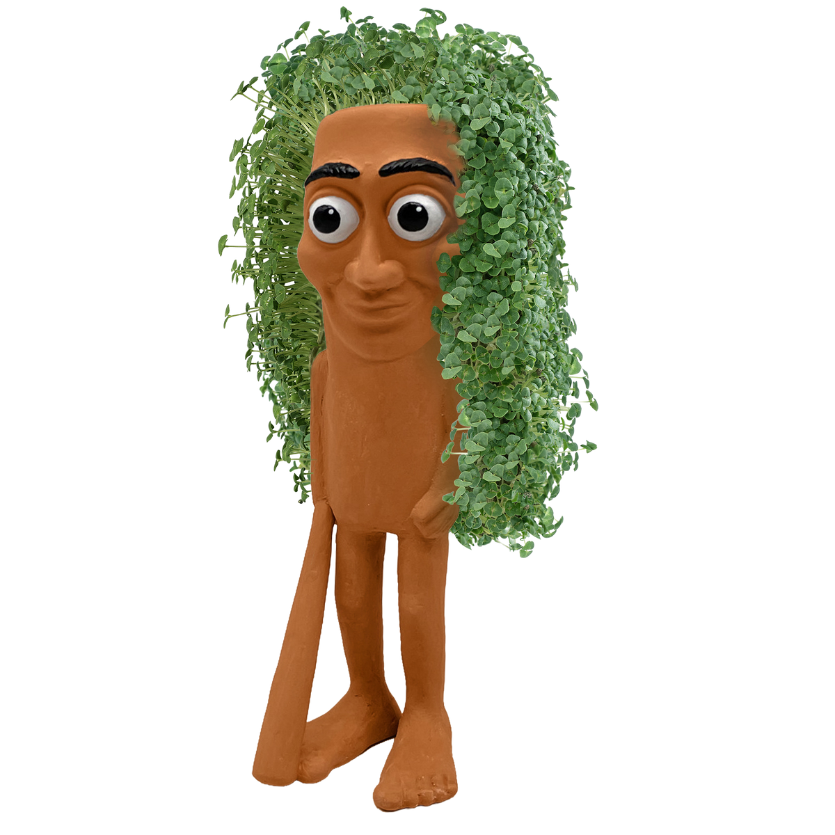 Brainrot Factory - Tung Tung Tung Sahur™ Chia Pet® (PRE-ORDER)