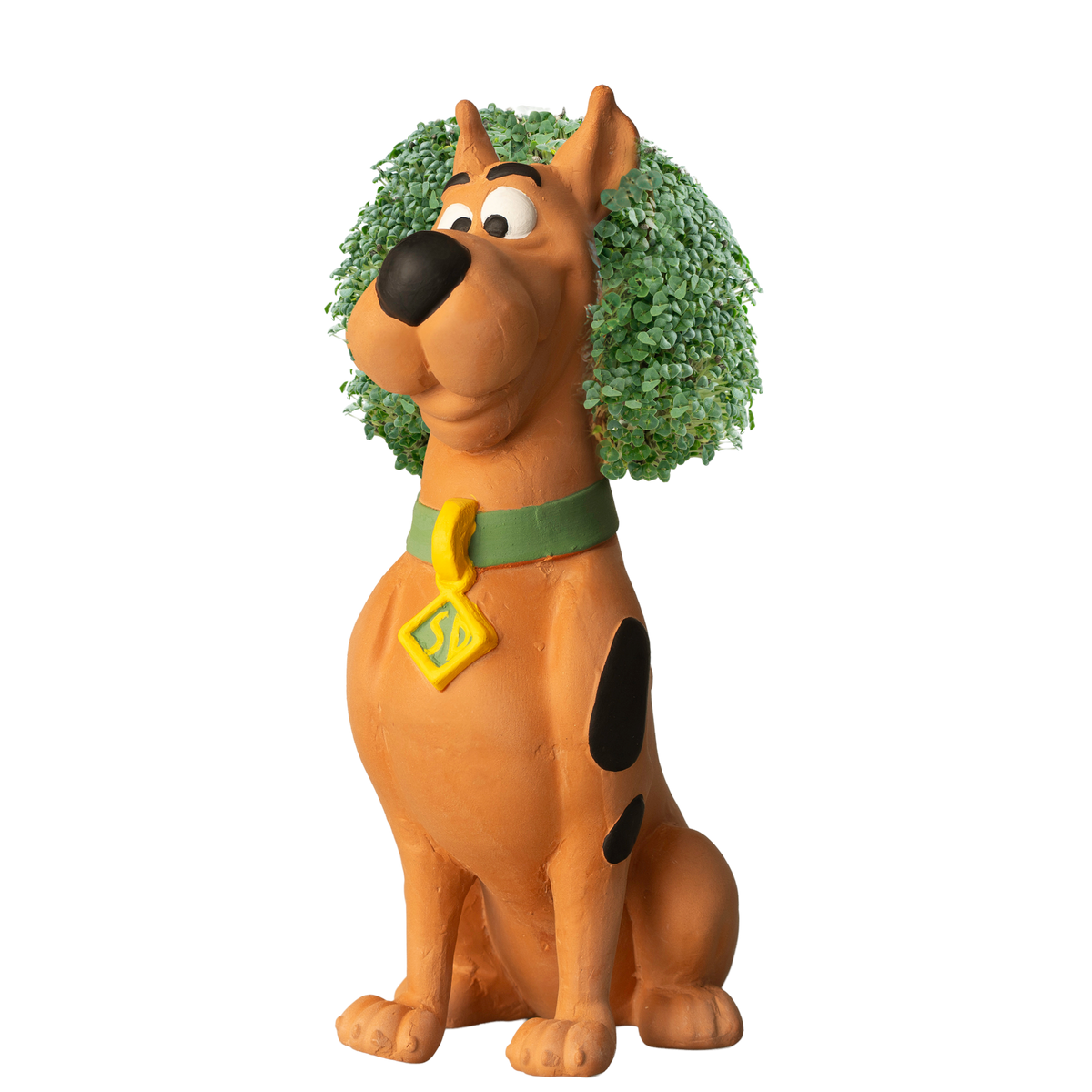Scooby-Doo!™ Chia Pet® (PRE-ORDER)