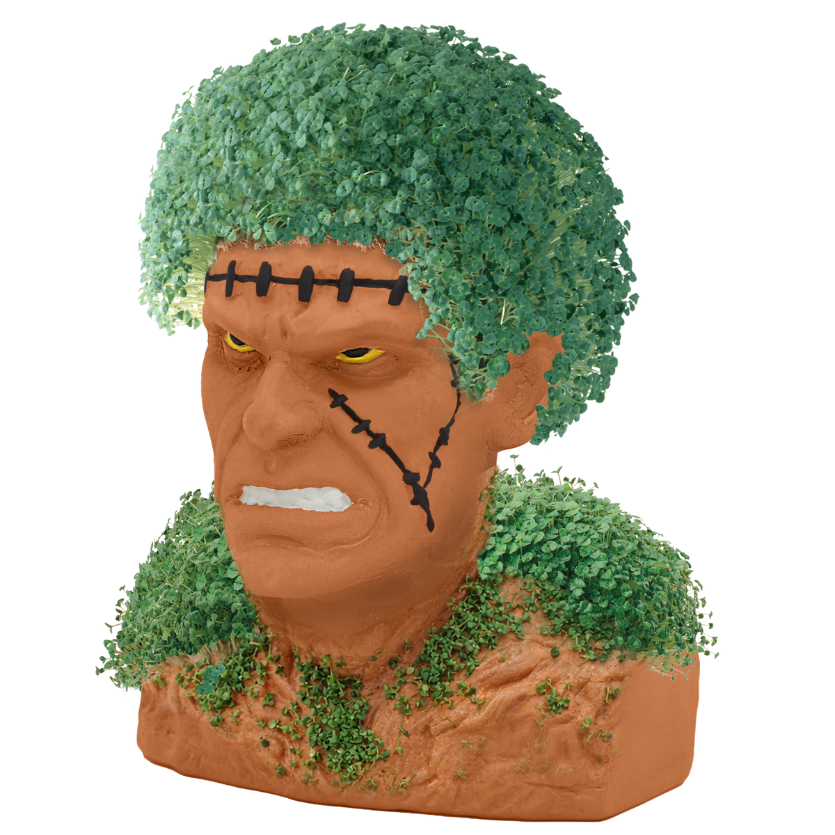 Frankenstein's Monster Chia Pet on Chia.com