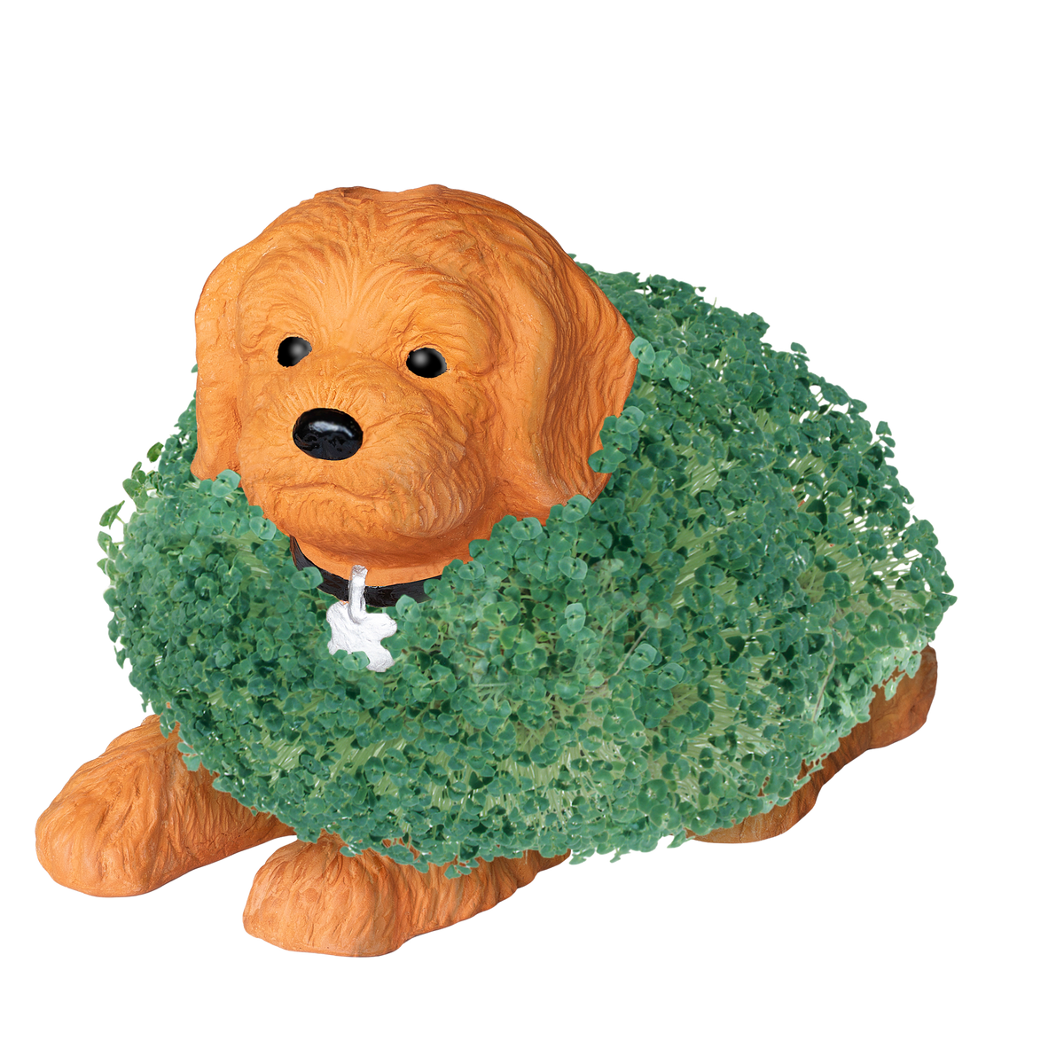 Doodle Dog Chia Pet®