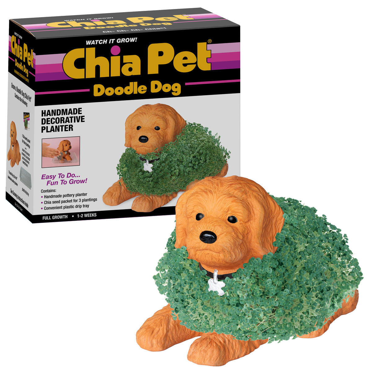 Doodle Dog Chia Pet®