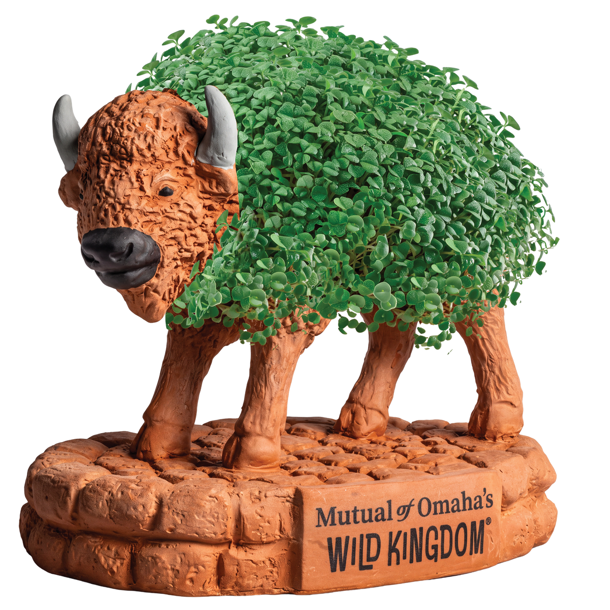 Mutual of Omaha's Wild Kingdom® Bison Chia Pet® (PRE-ORDER)