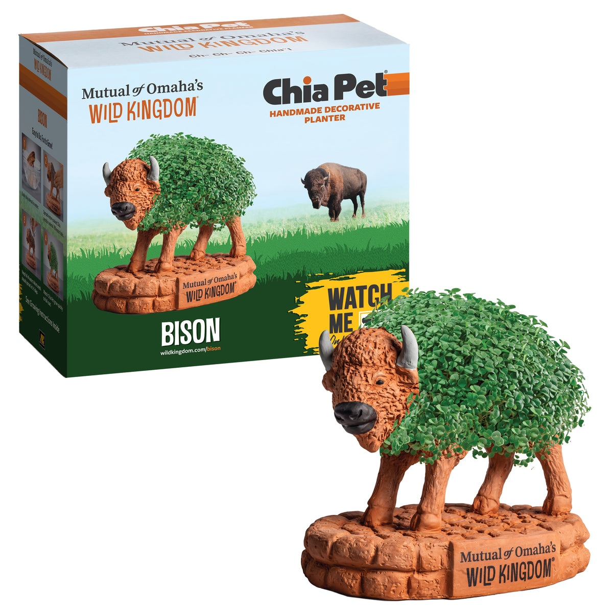 Mutual of Omaha's Wild Kingdom® Bison Chia Pet® (PRE-ORDER)